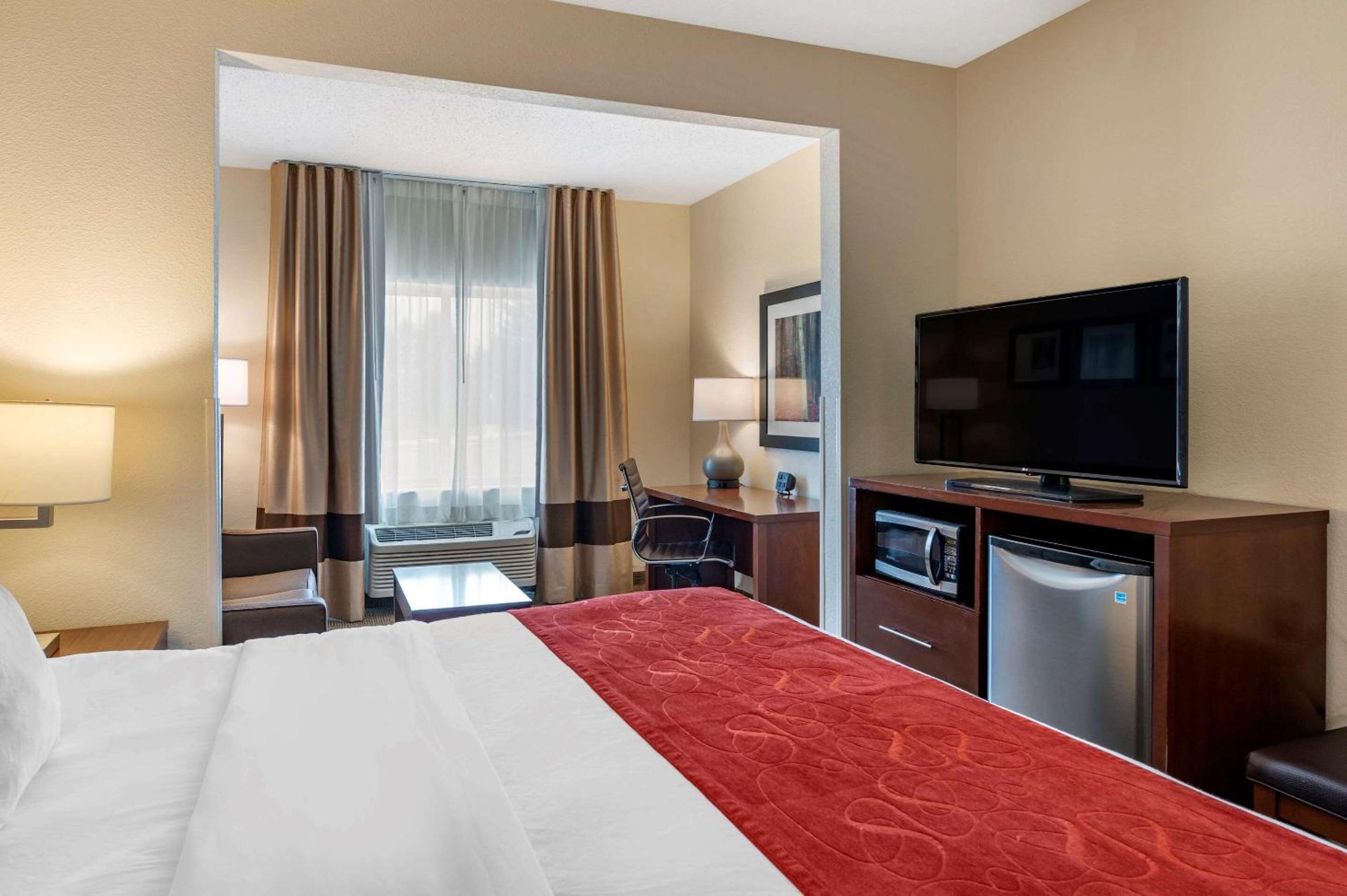 King Suite - Non-Smoking - Photo 4