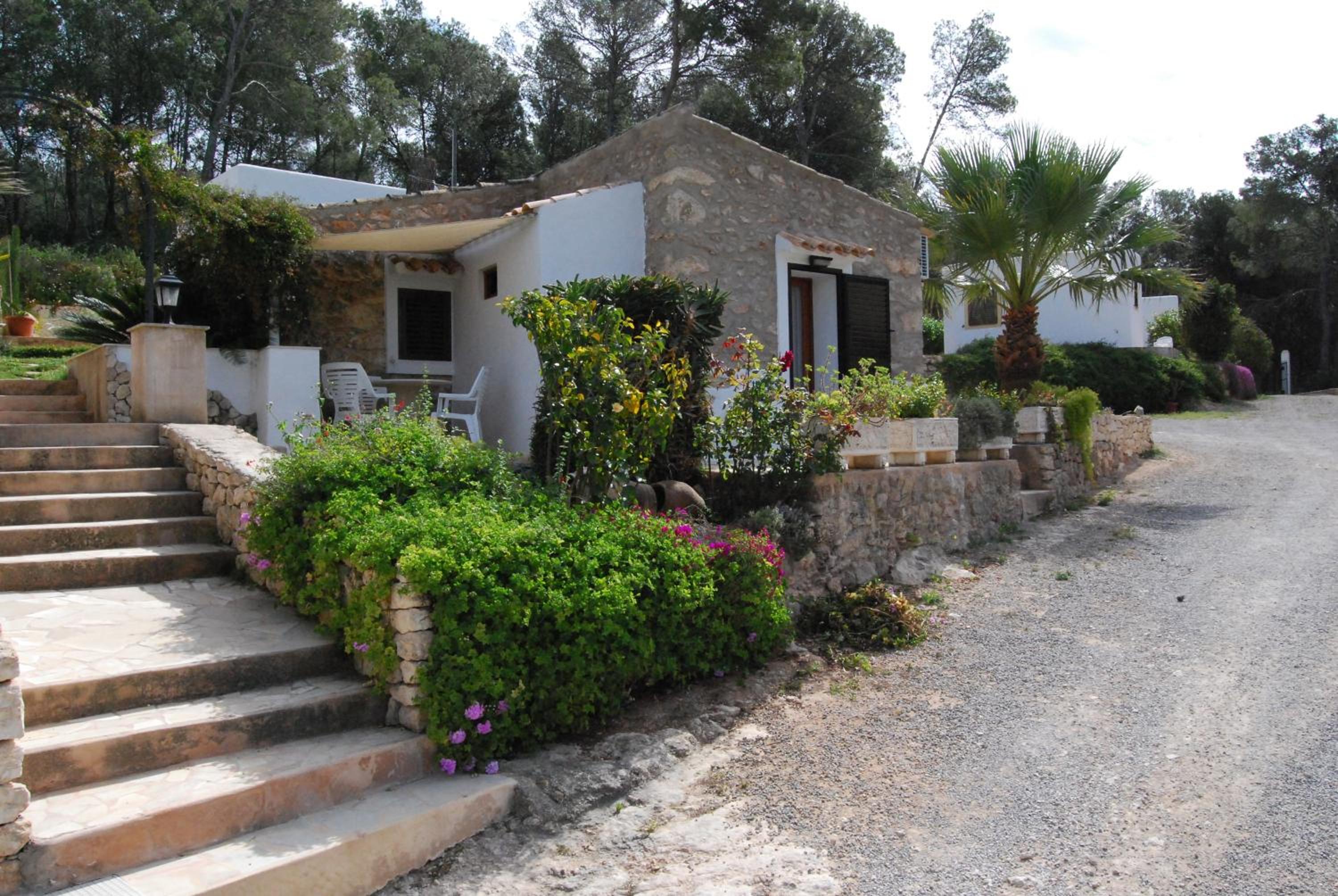 Standard Bungalow photo 2