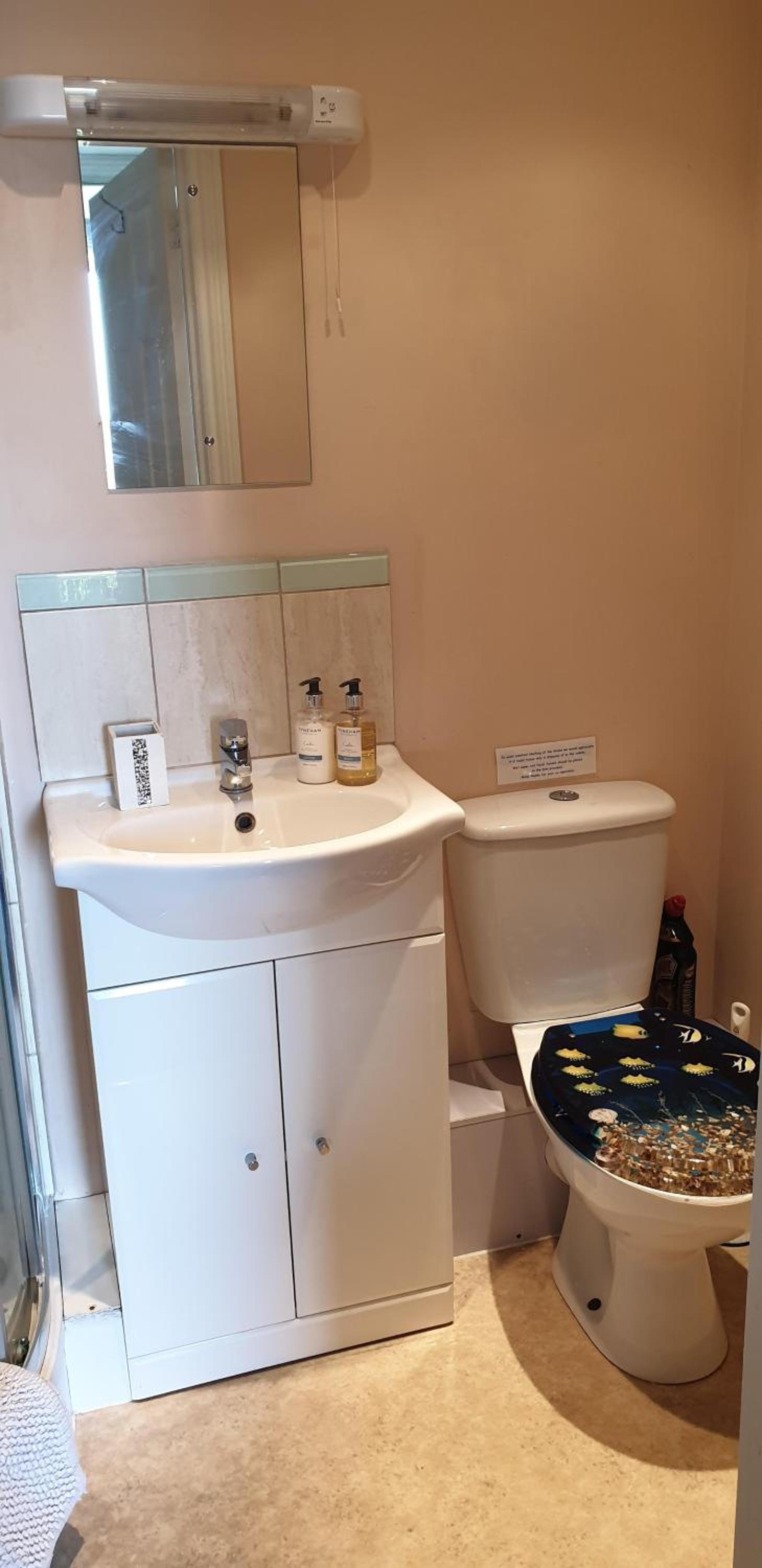 Apartment with Shower photo 3