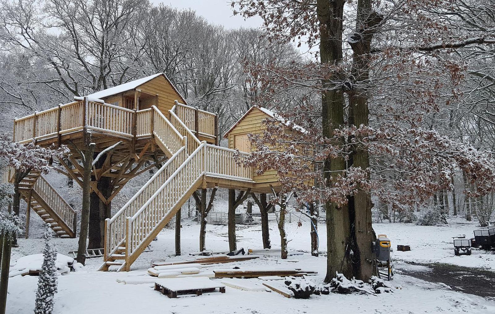 Treehouse - Photo 8