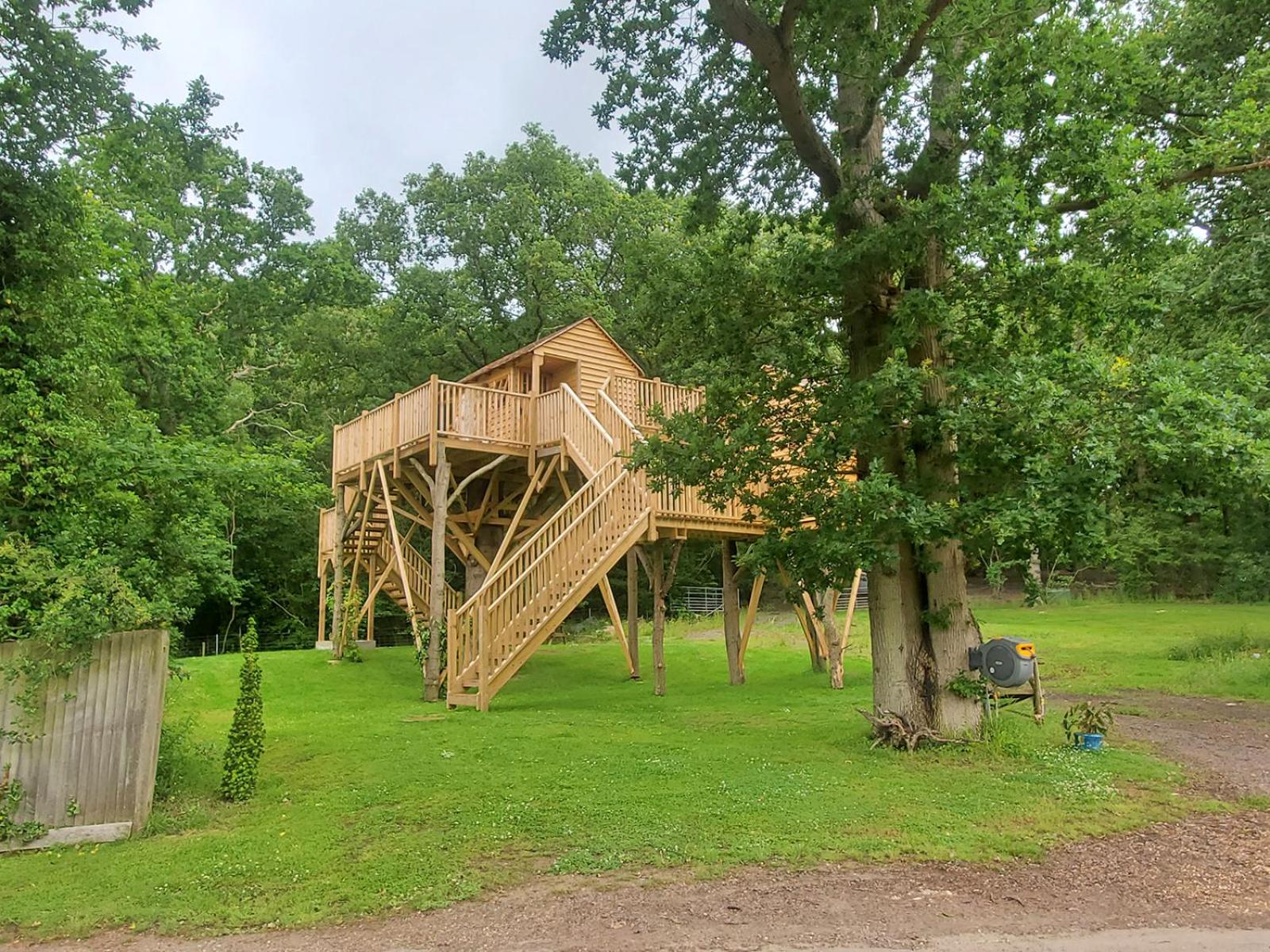 Treehouse - Photo 14