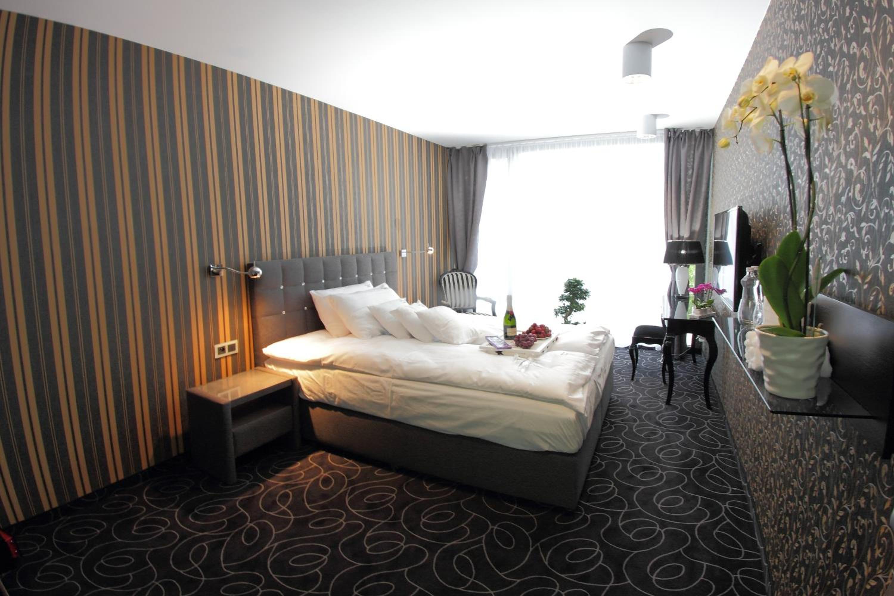 Superior Suite - Photo 1