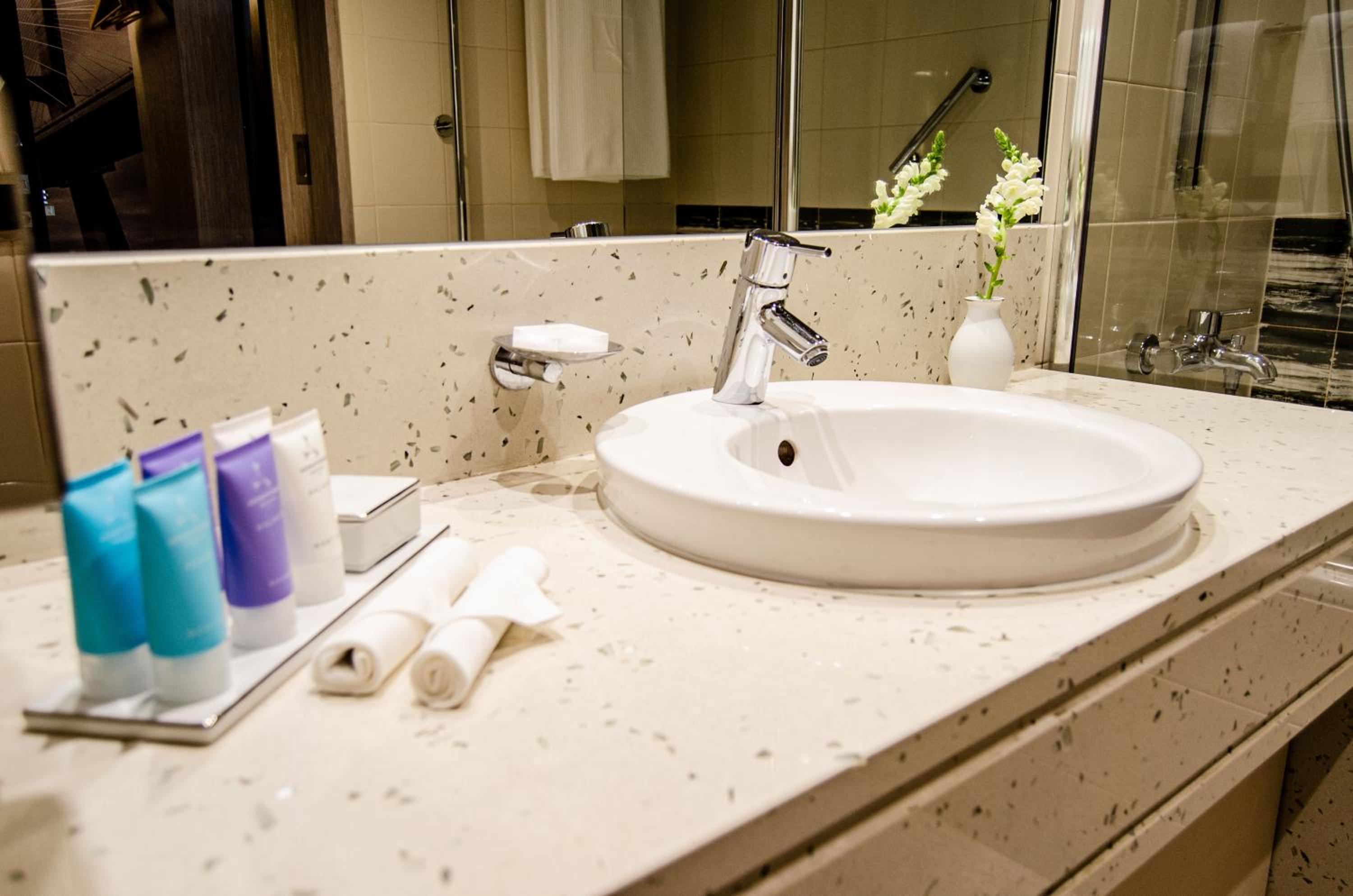 Deluxe Double or Twin Room - Photo 4