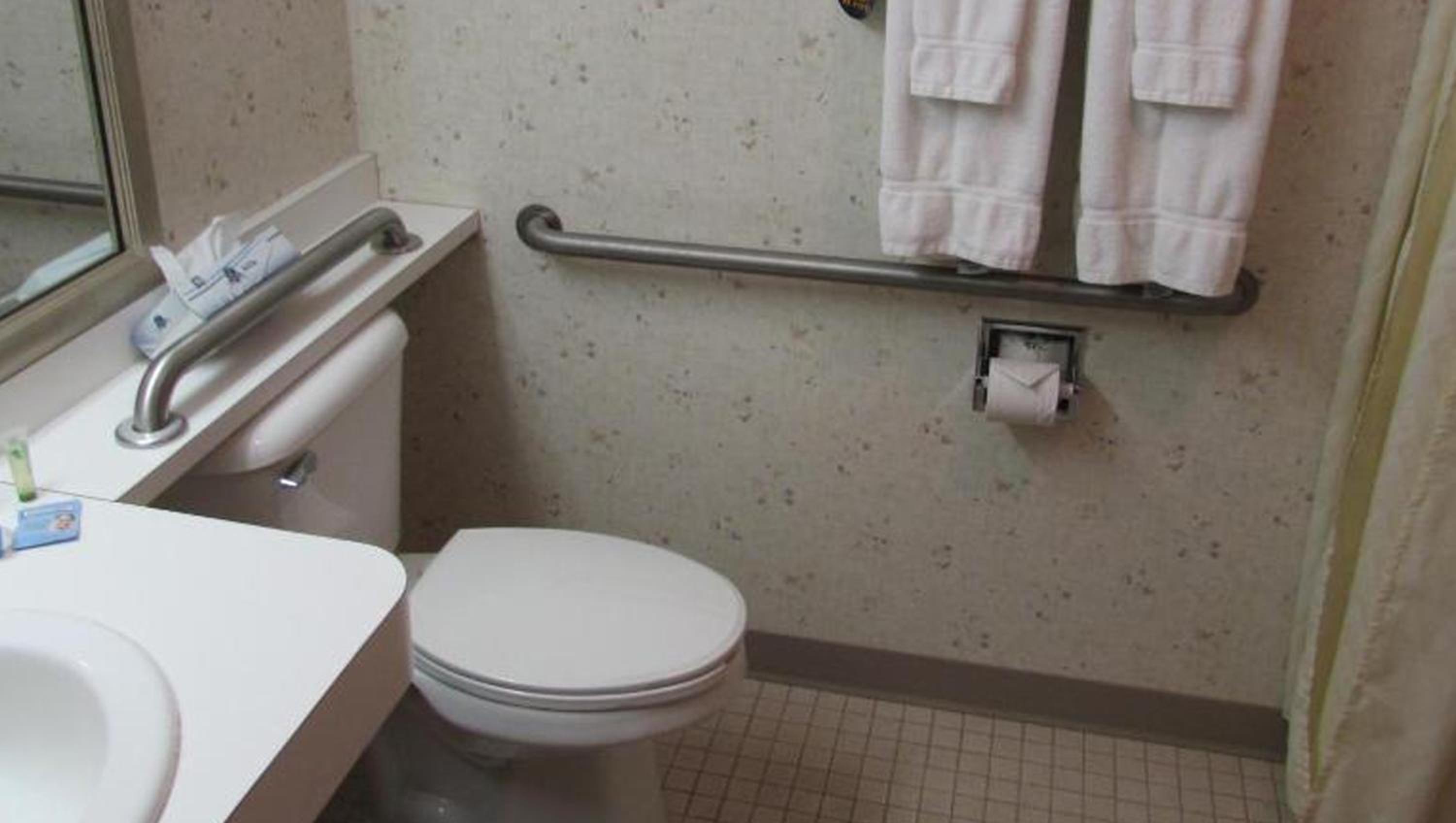 Mini Suite Handicap Accessible