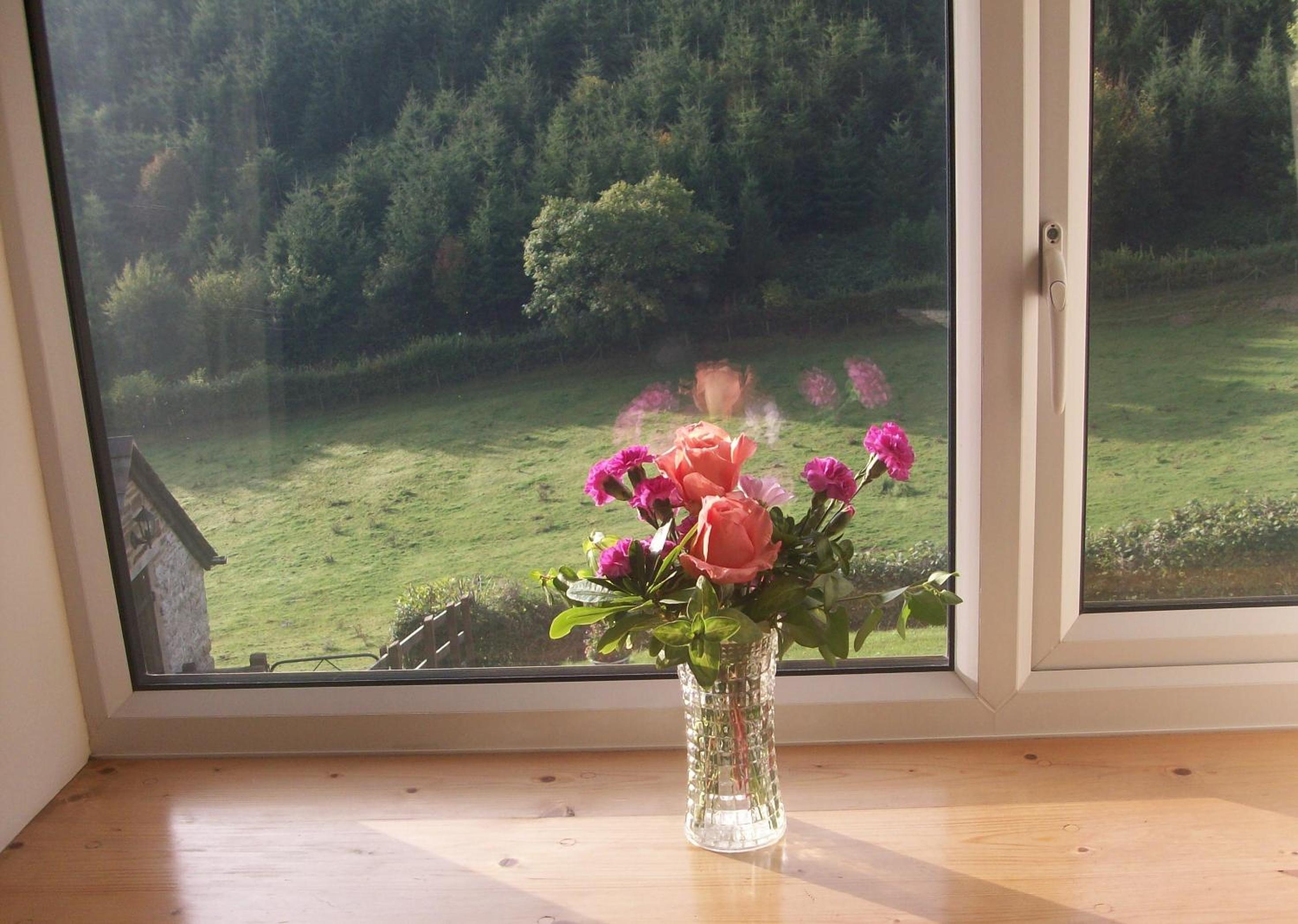 Deluxe Double or Twin Room with Garden View photo 2
