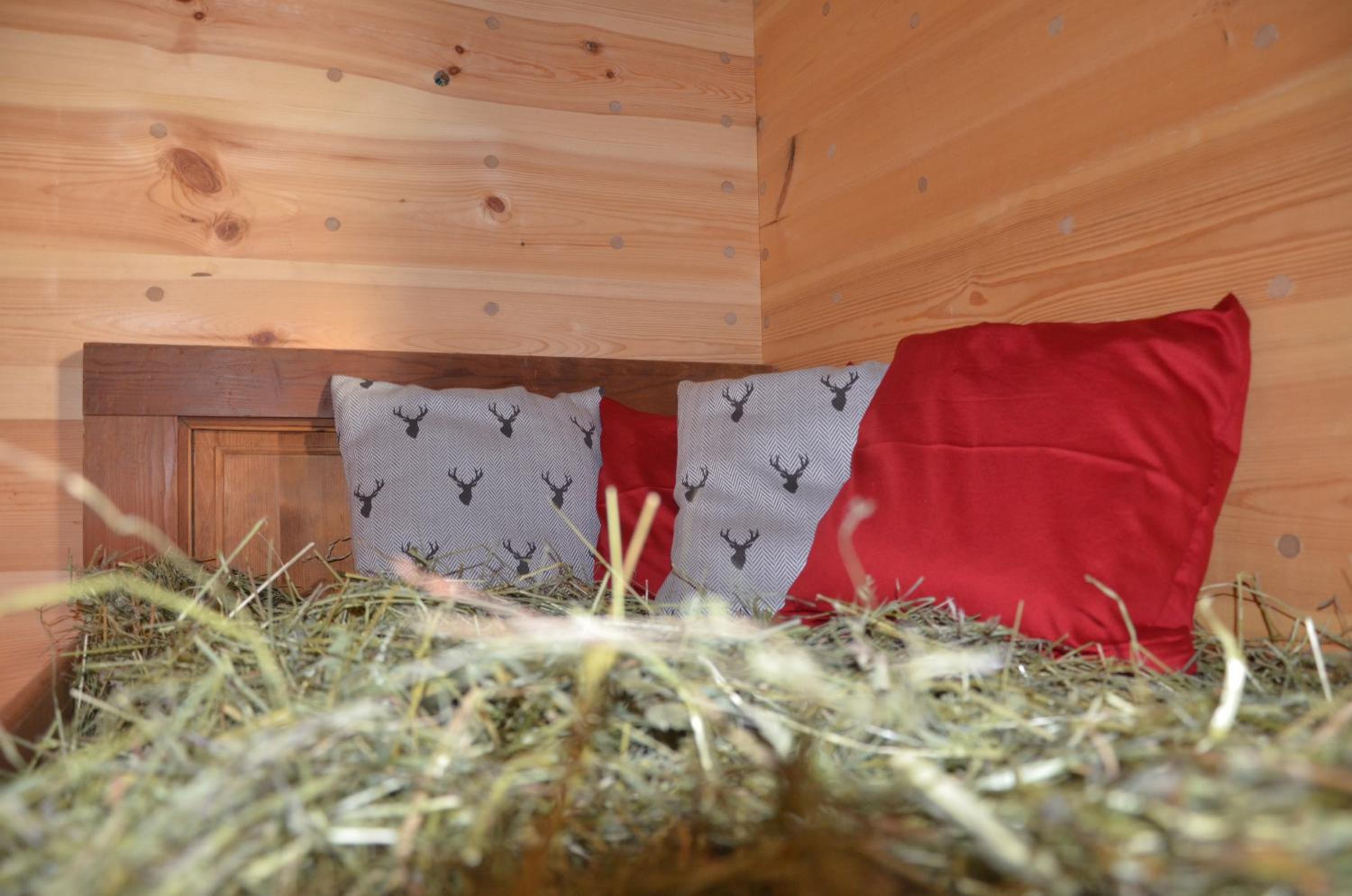 Chalet photo 1