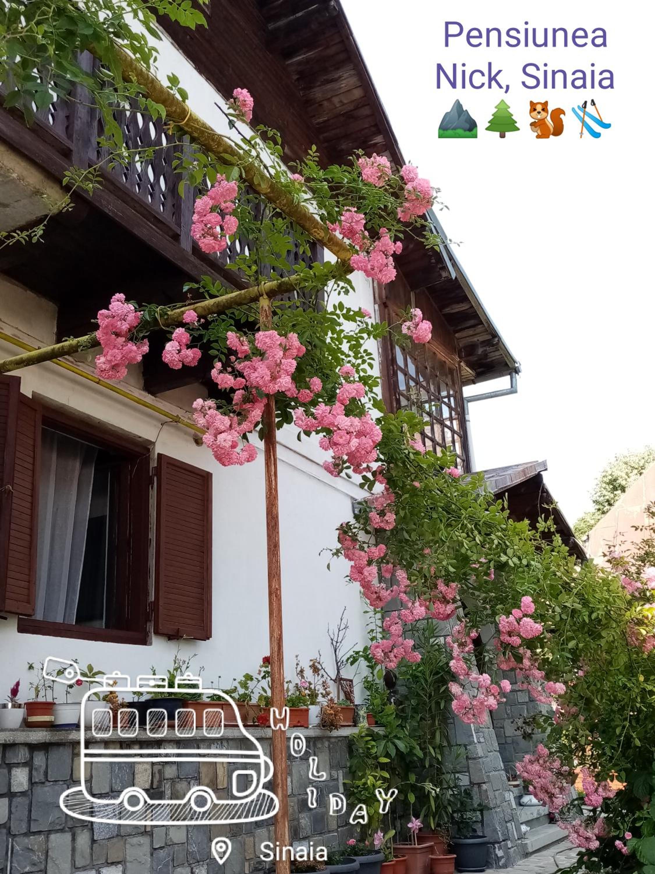 Apartment - Photo 13