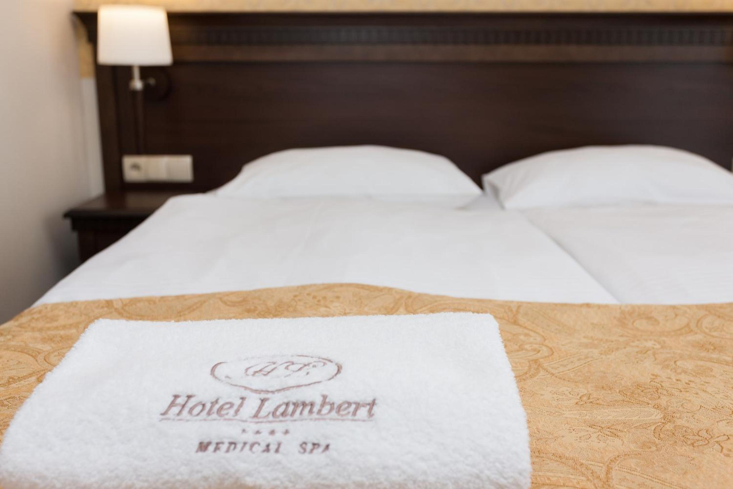 Comfort Suite - Photo 6