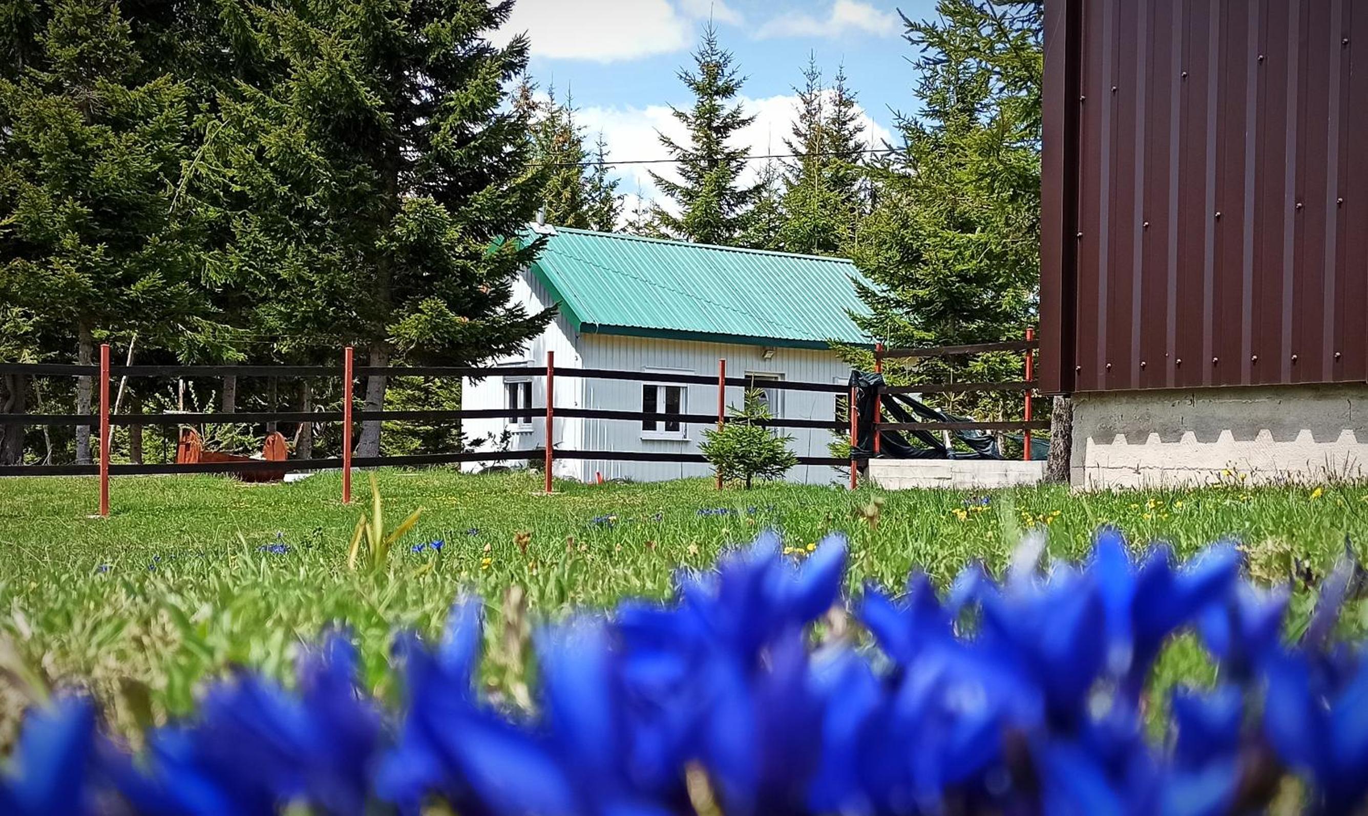 Vacation Home photo 2