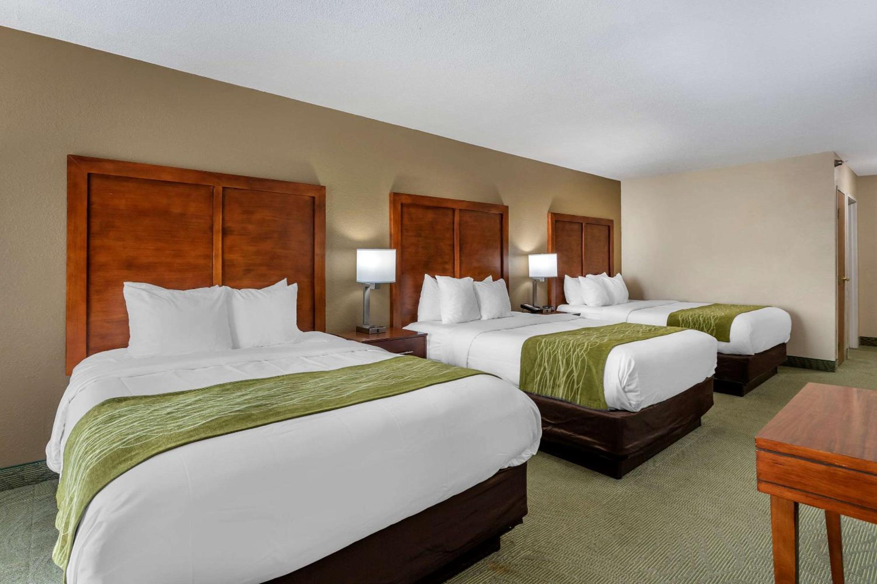 Queen Suite with Three Queen Beds - Non Smoking  - Photo 2