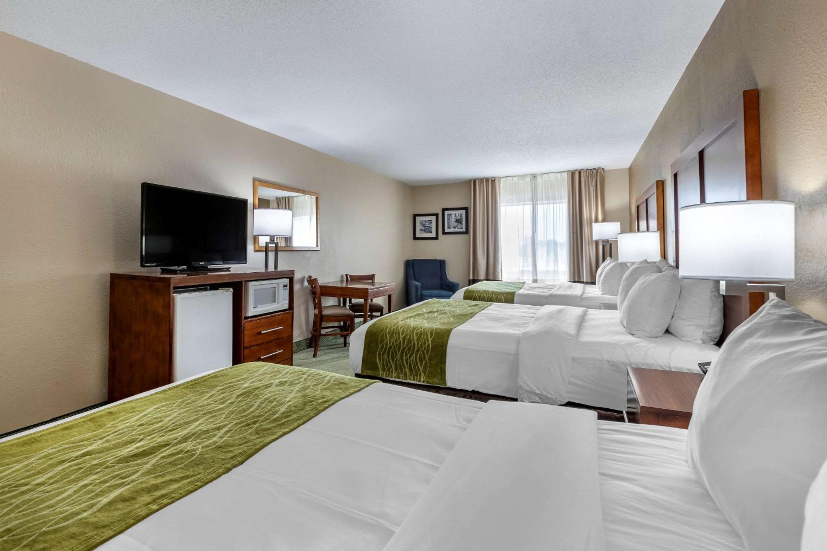 Queen Suite with Three Queen Beds - Non Smoking  - Photo 4
