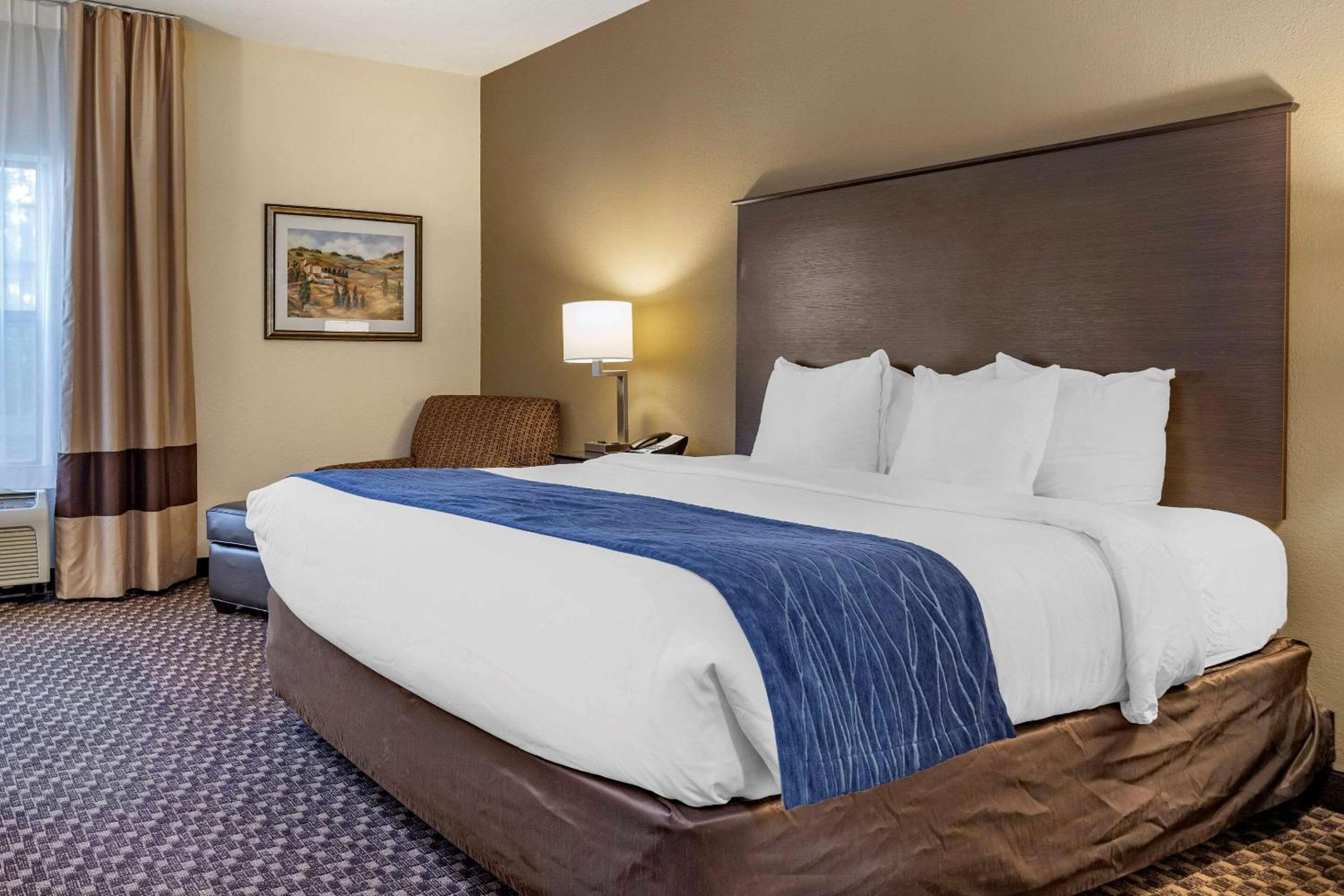 King Room with Roll-In Shower - Accessible/Non-Smoking