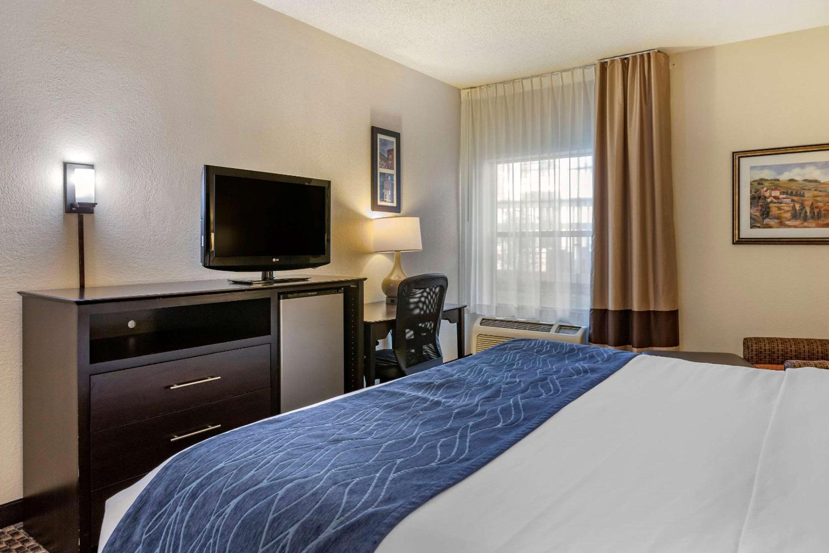 King Room with Roll-In Shower - Accessible/Non-Smoking photo 2