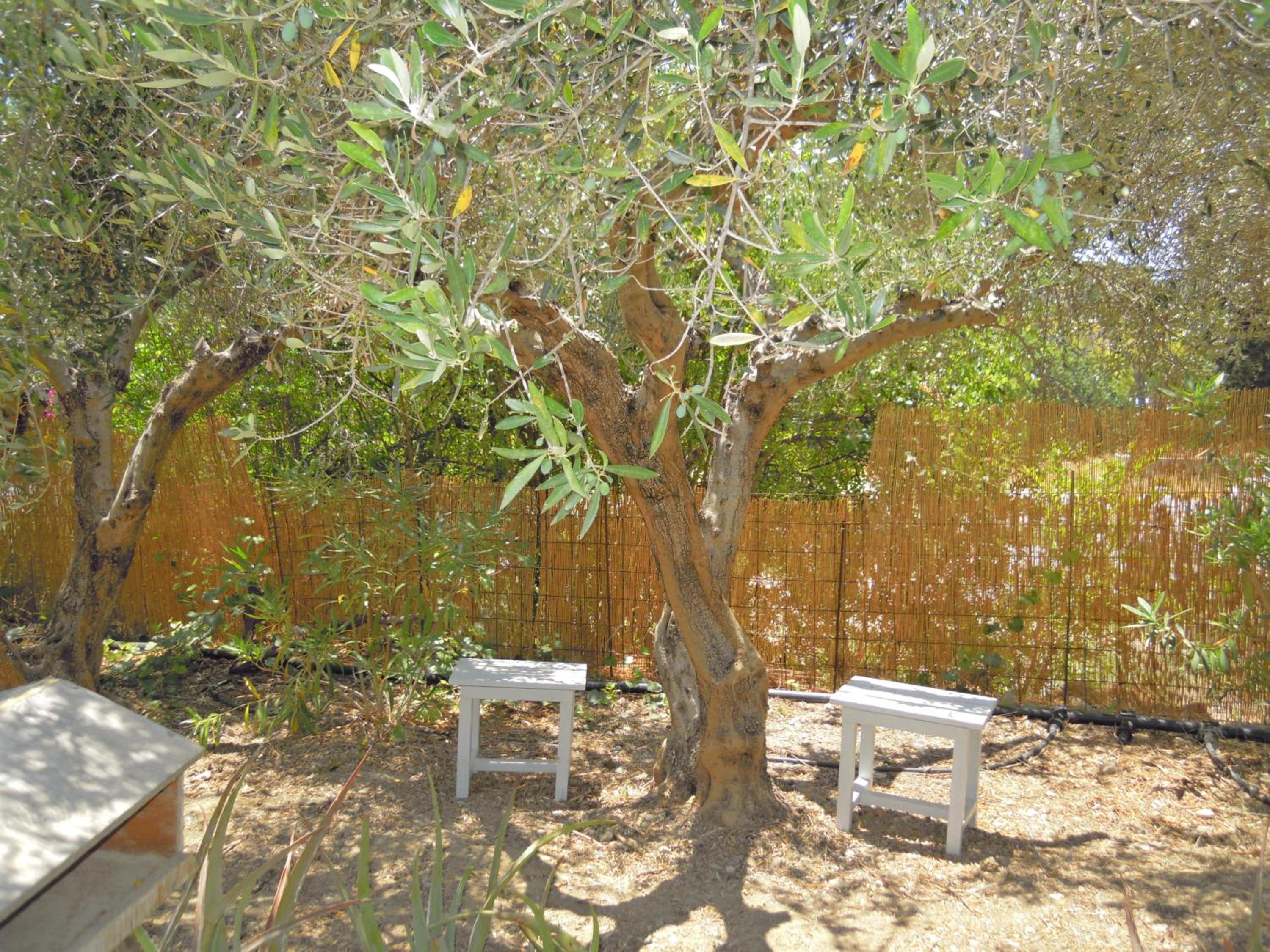 Apartment - Ground Floor photo 2