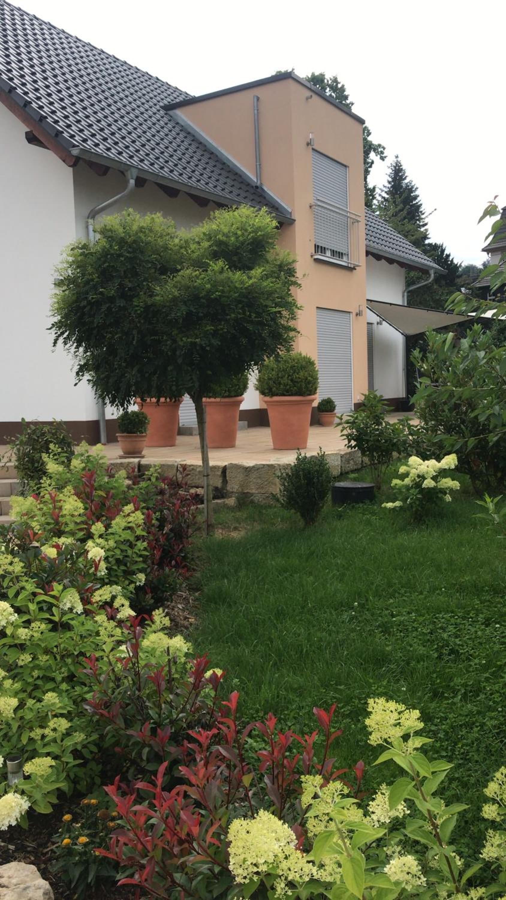 Deluxe Villa photo 3