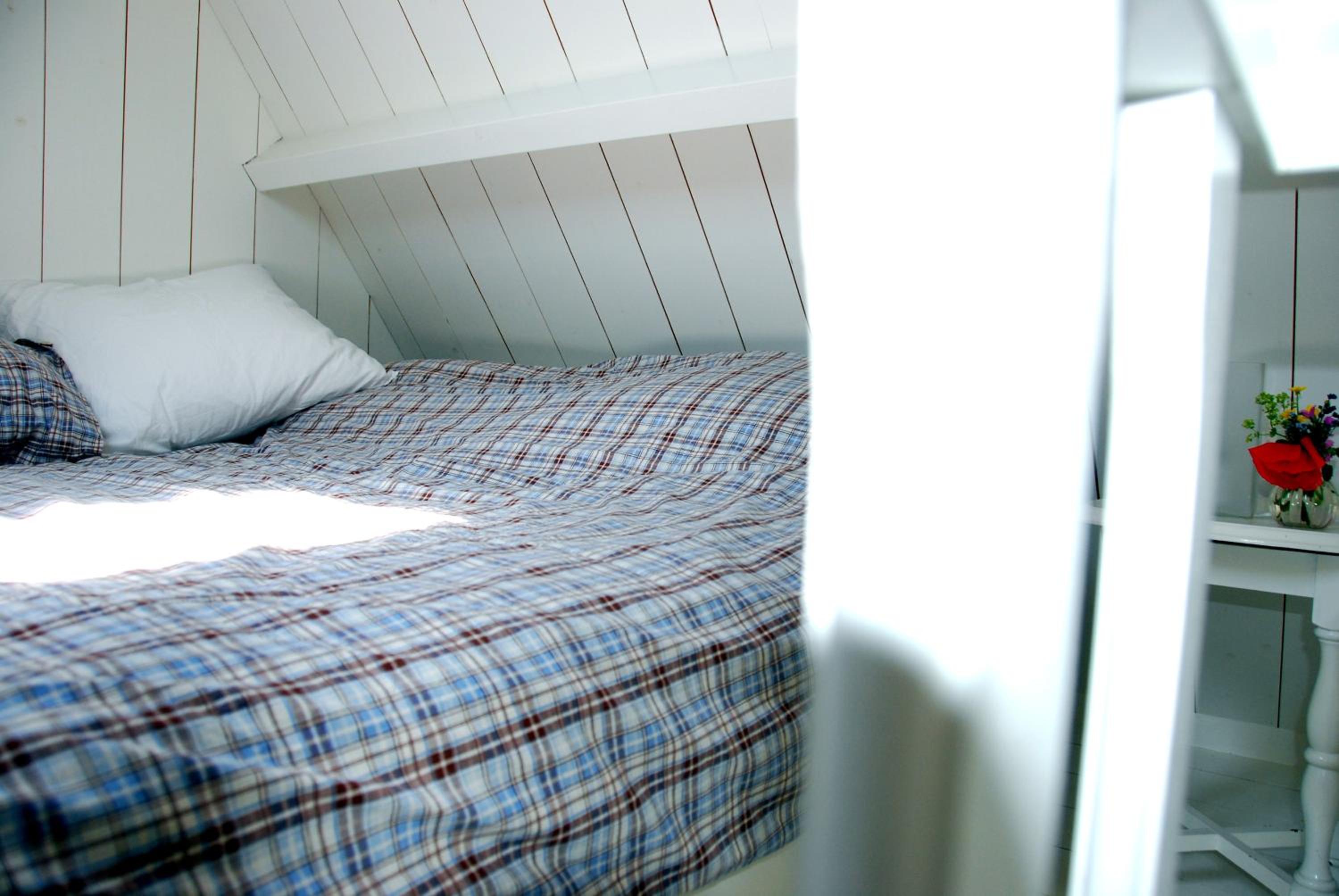 One-Bedroom House photo 3