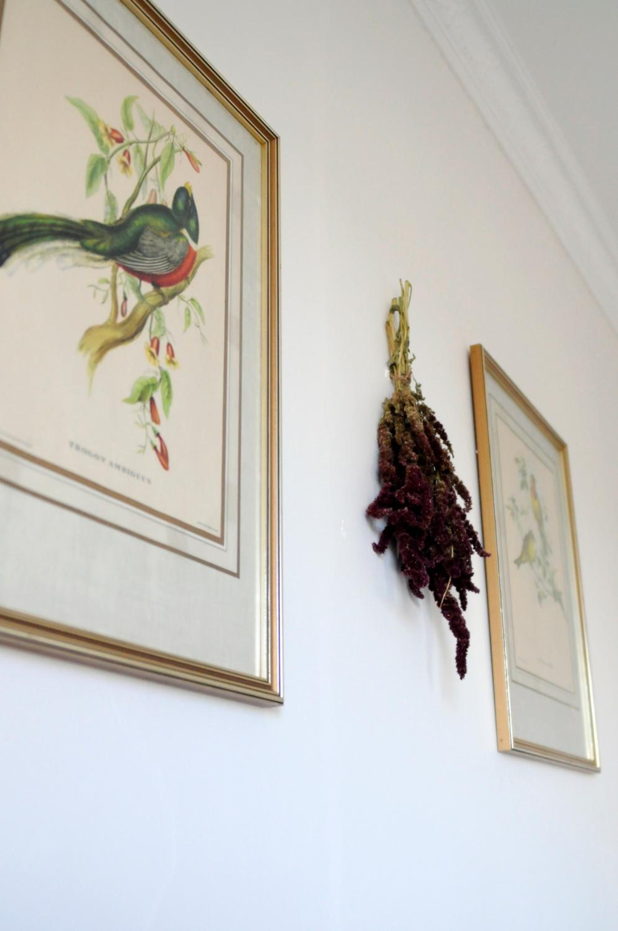 Standard Queen Room photo 2