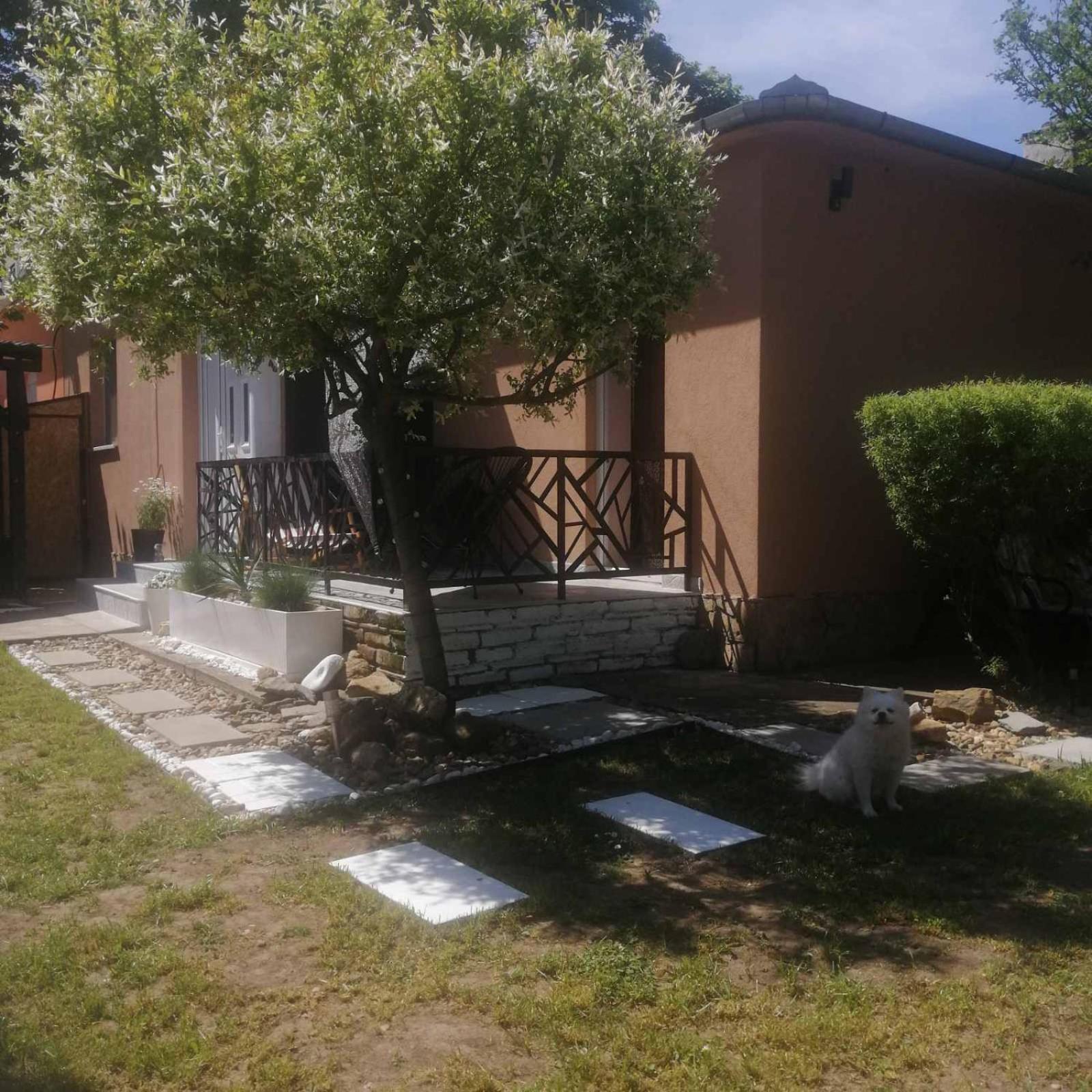 One-Bedroom House photo 2
