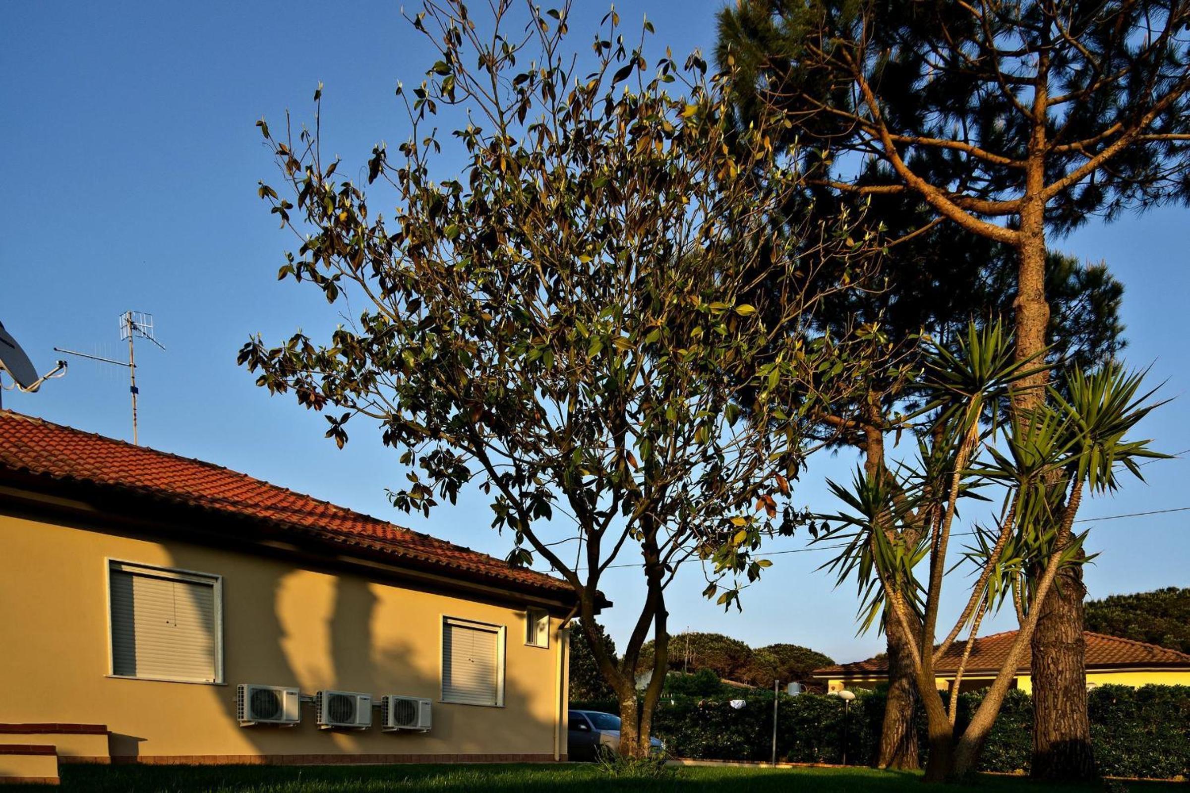 Two-Bedroom House - Photo 32