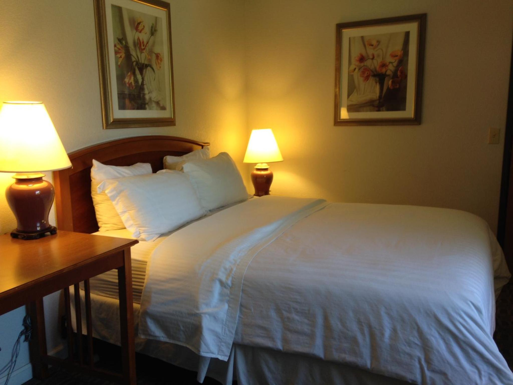 Queen Room photo 1
