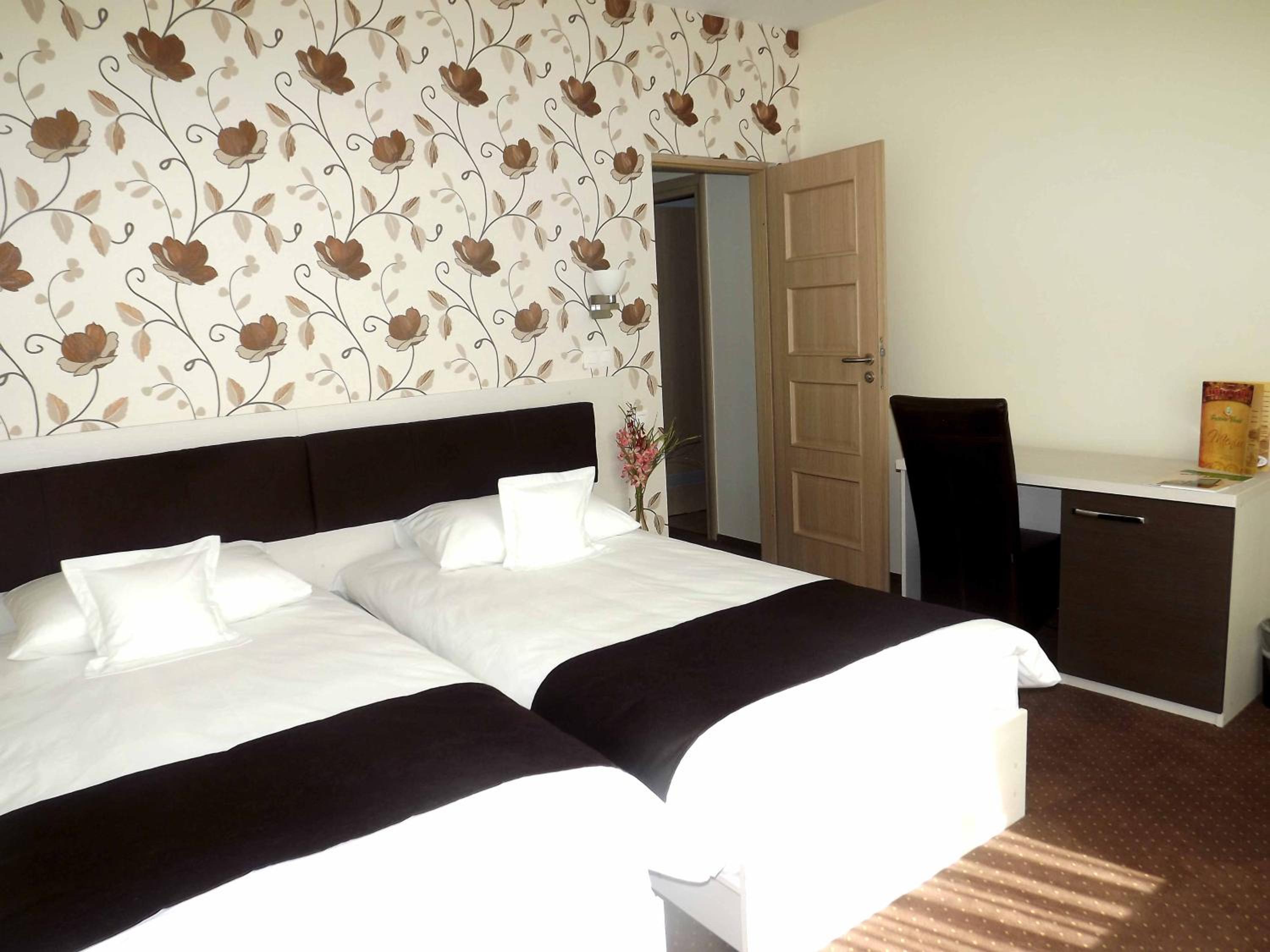 Suite - Photo 1