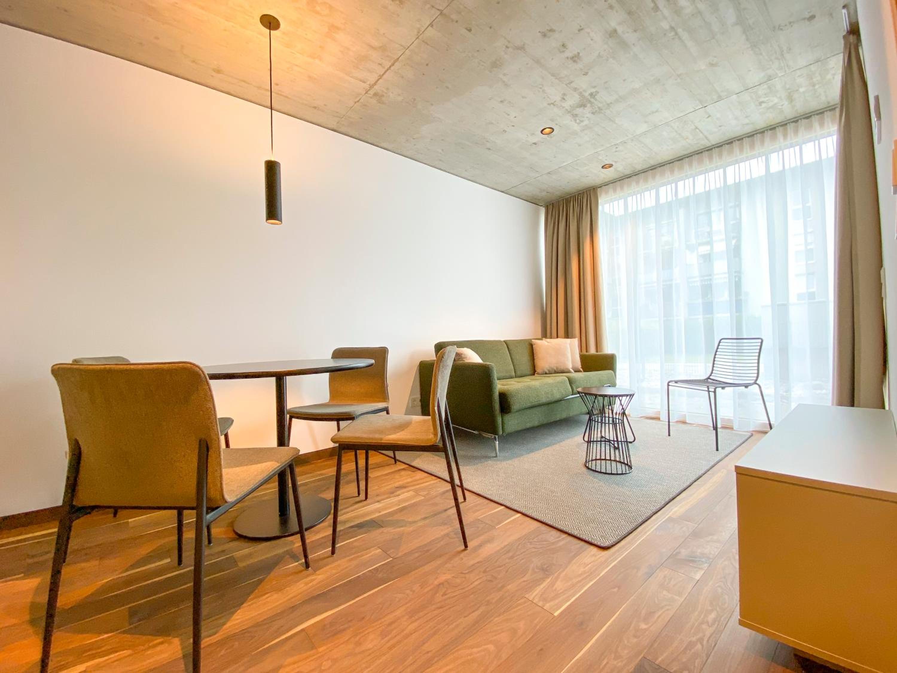Large Apartment photo 1