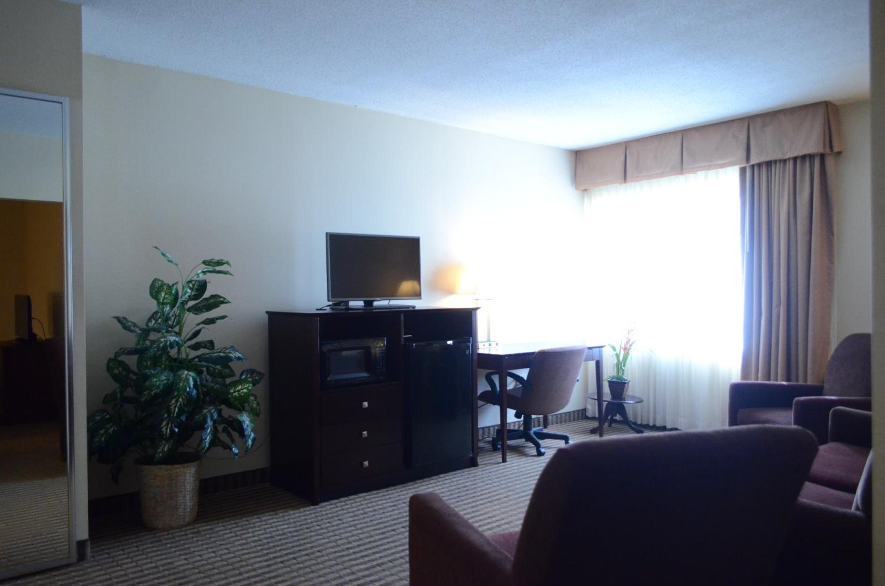 King Suite with Sofa Bed - Non Smoking - Photo 9