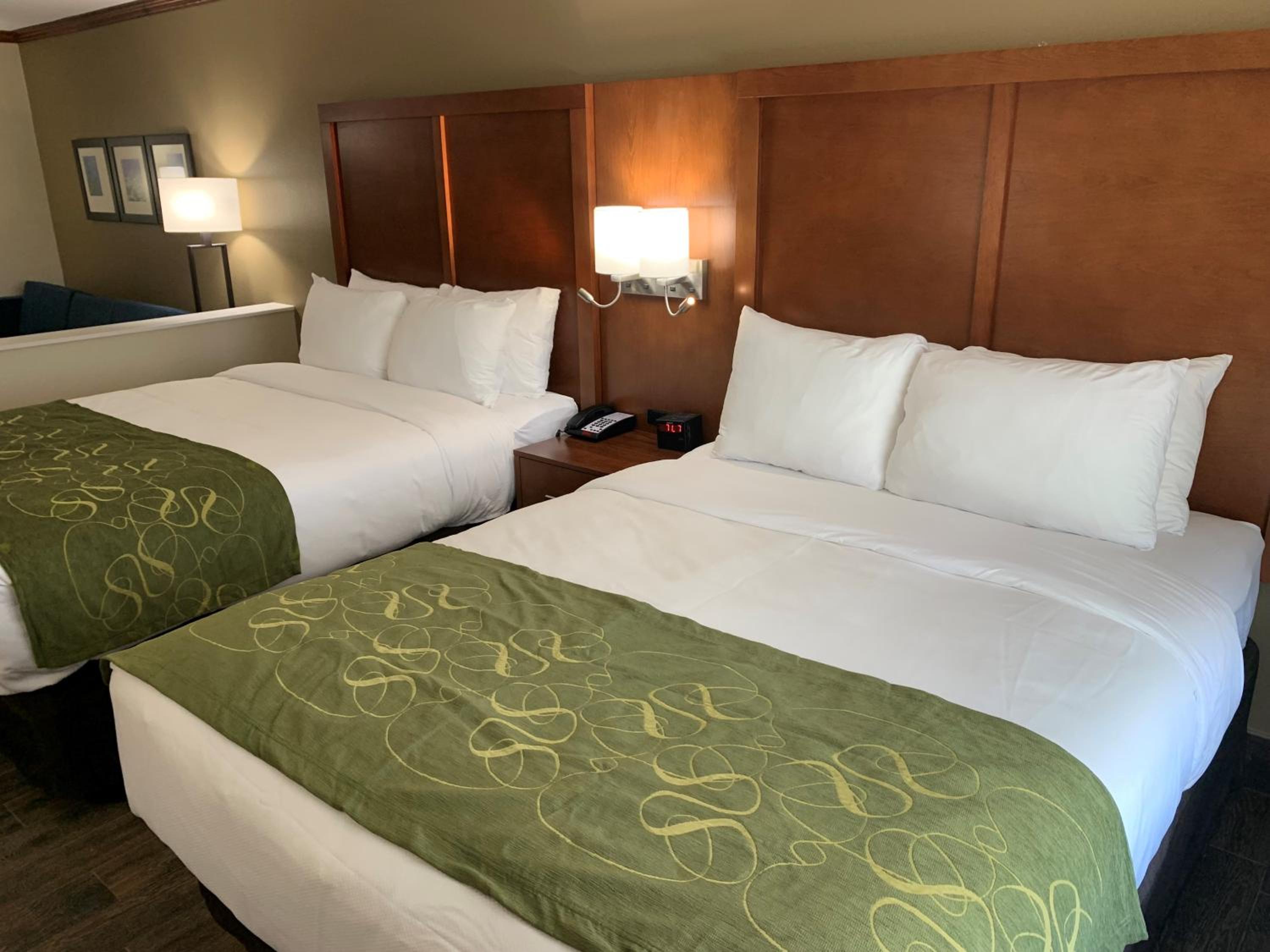 Queen Suite with Two Queen Beds and Sofabed - Non Smoking - Photo 2