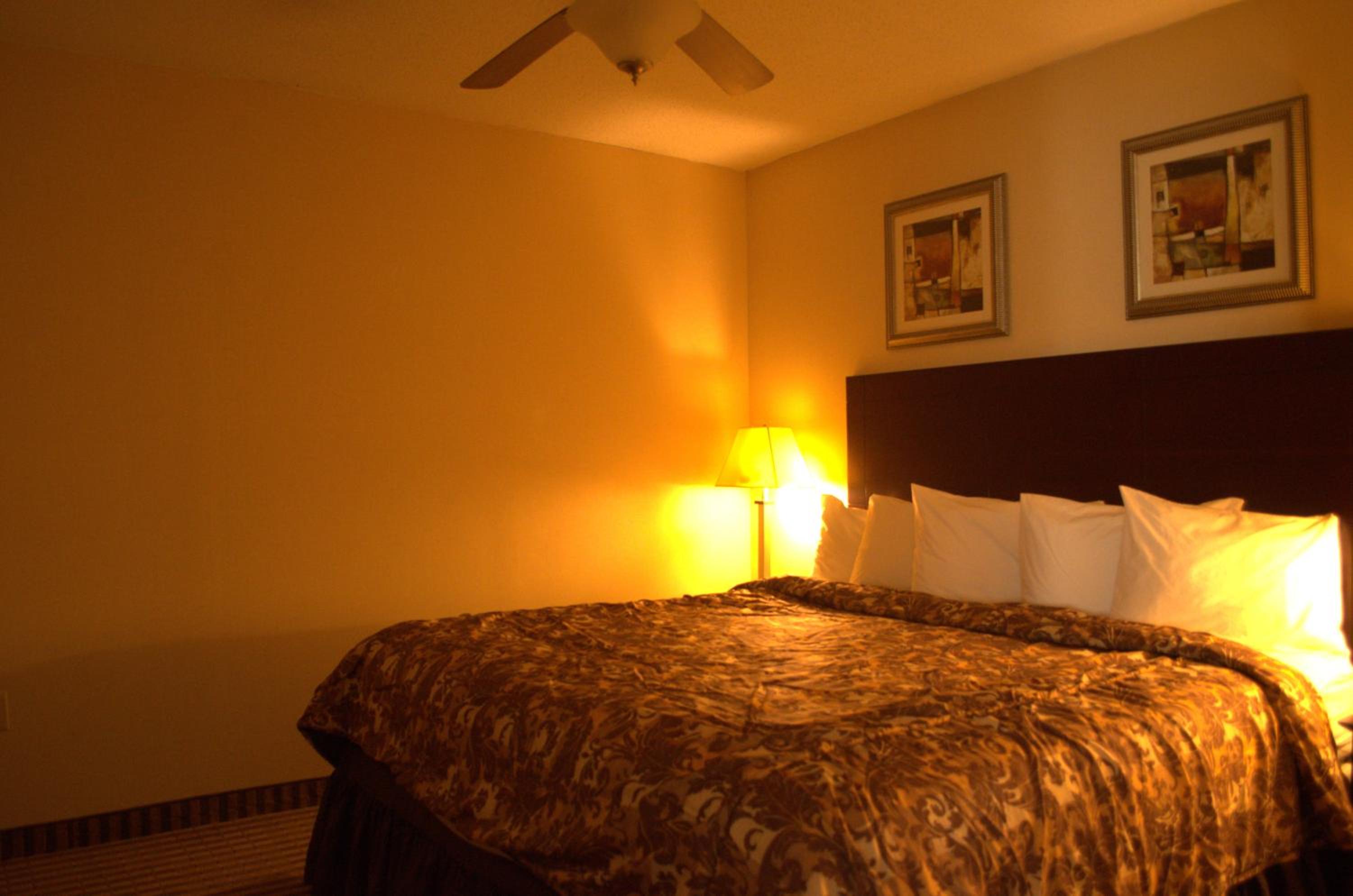 Standard King Room - Non Smoking - Photo 6