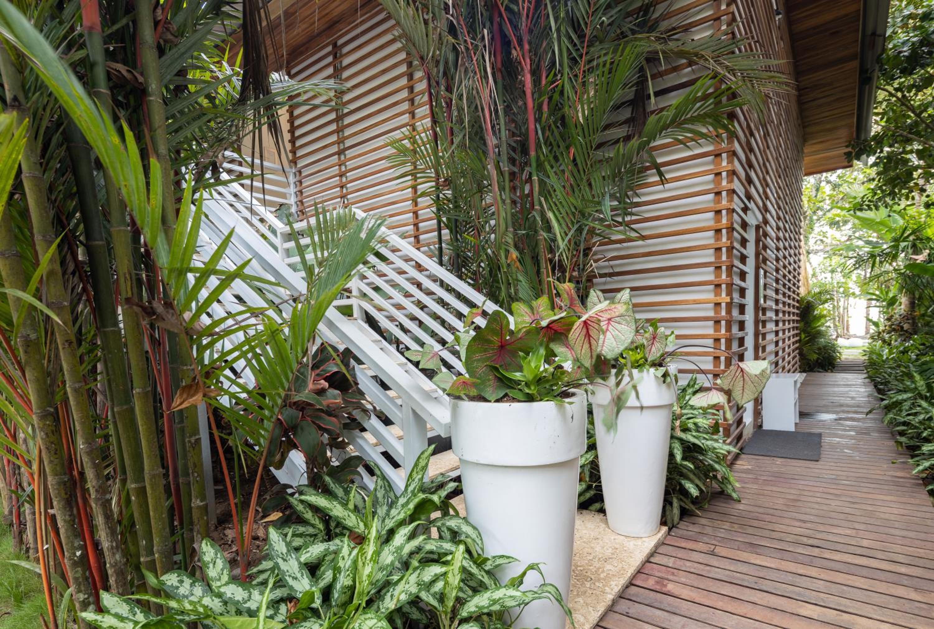 Garden View Suite - Photo 1
