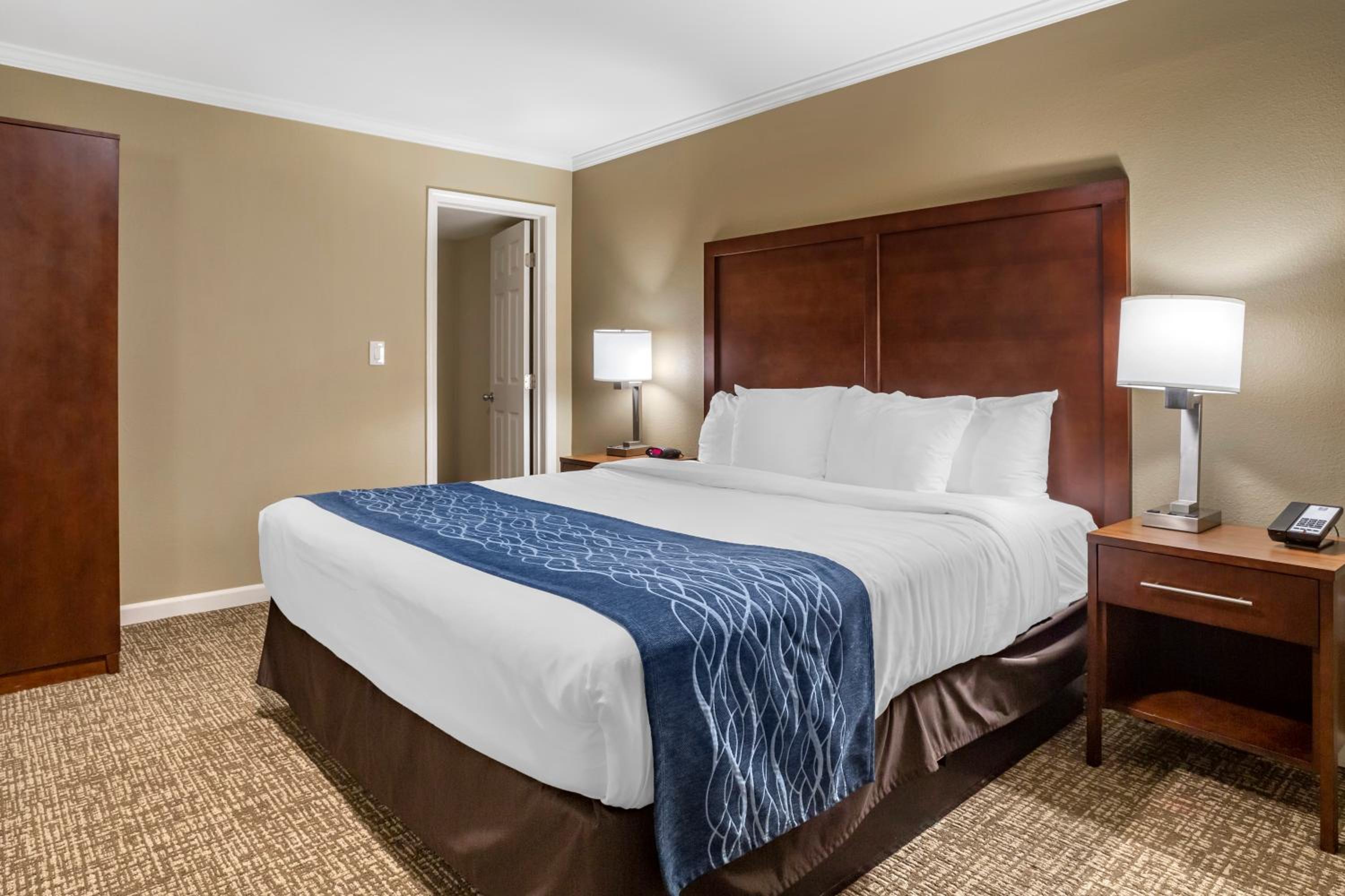 Premier Suite, 1 King Bed, Non Smoking - Photo 4