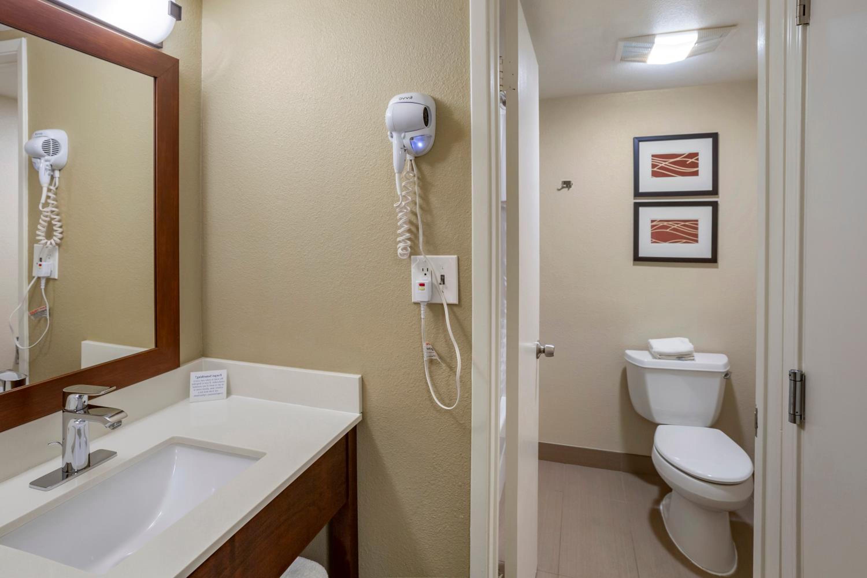 Premier Suite, 1 King Bed, Non Smoking - Photo 3