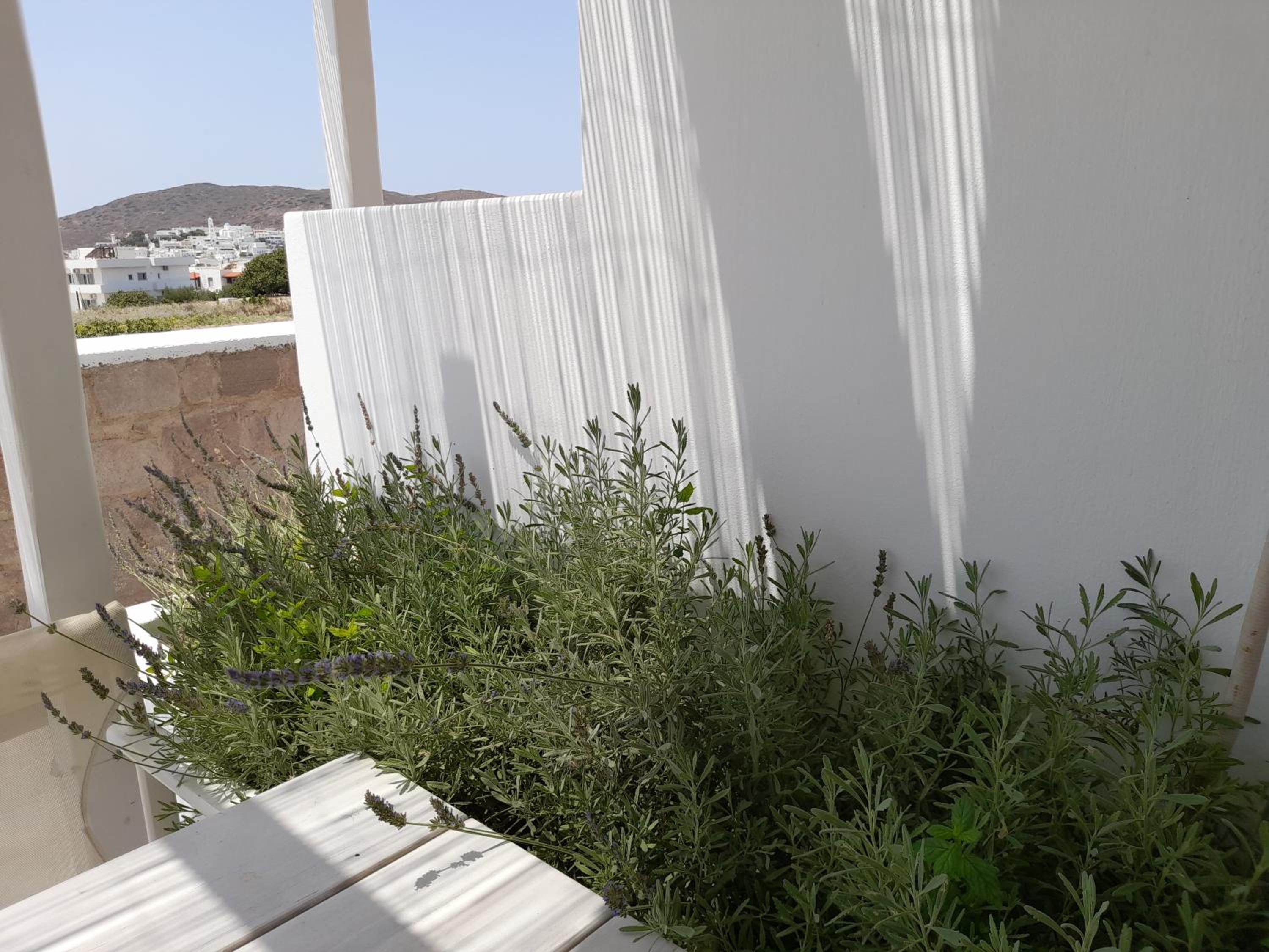 Studio with Terrace - Photo 7
