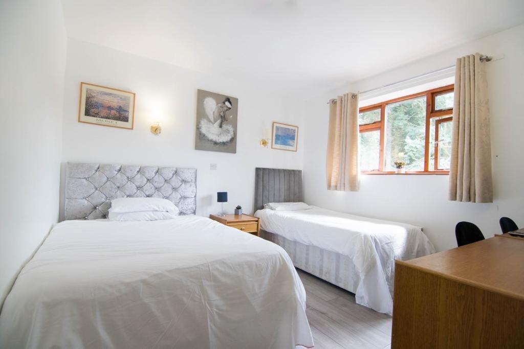 Deluxe Double Room with Extra Bed - Photo 1