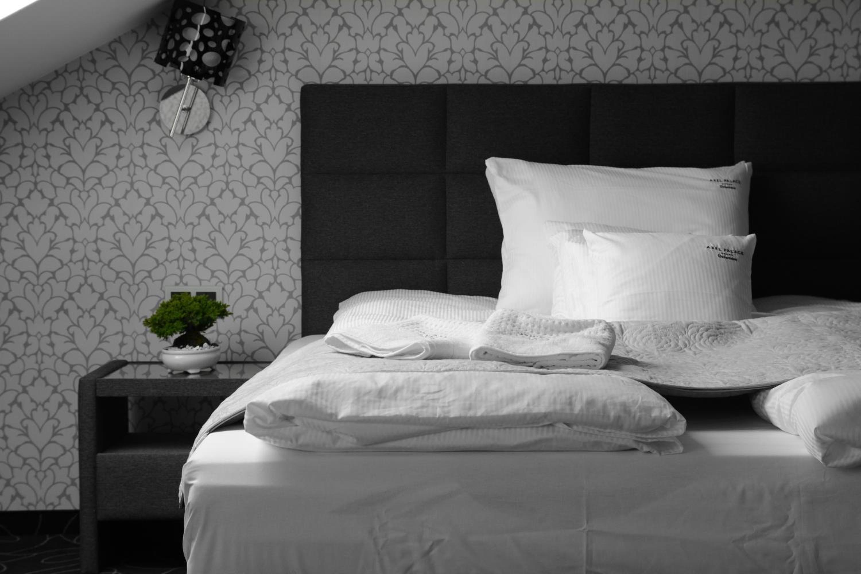 Suite with Terrace - Photo 8