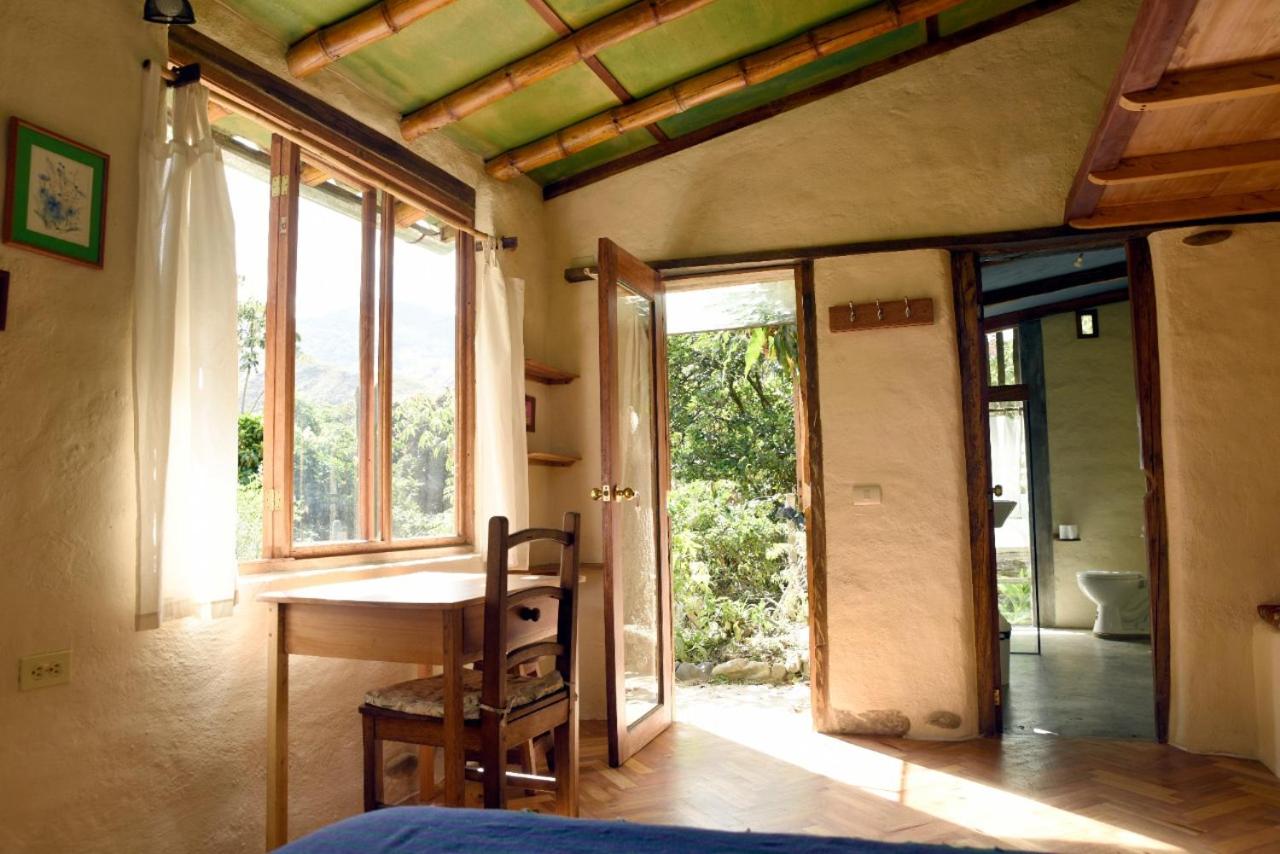 Studio with Garden View