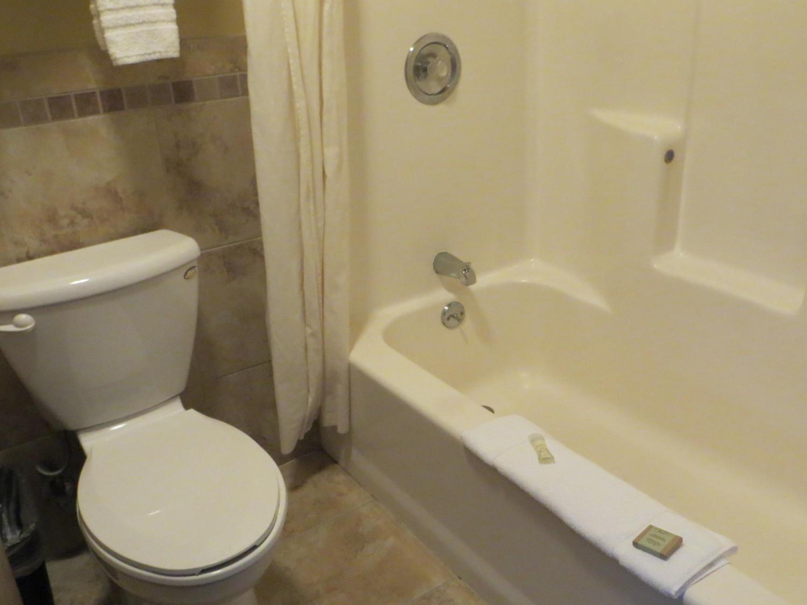 King Studio Suite - Non-Smoking photo 2