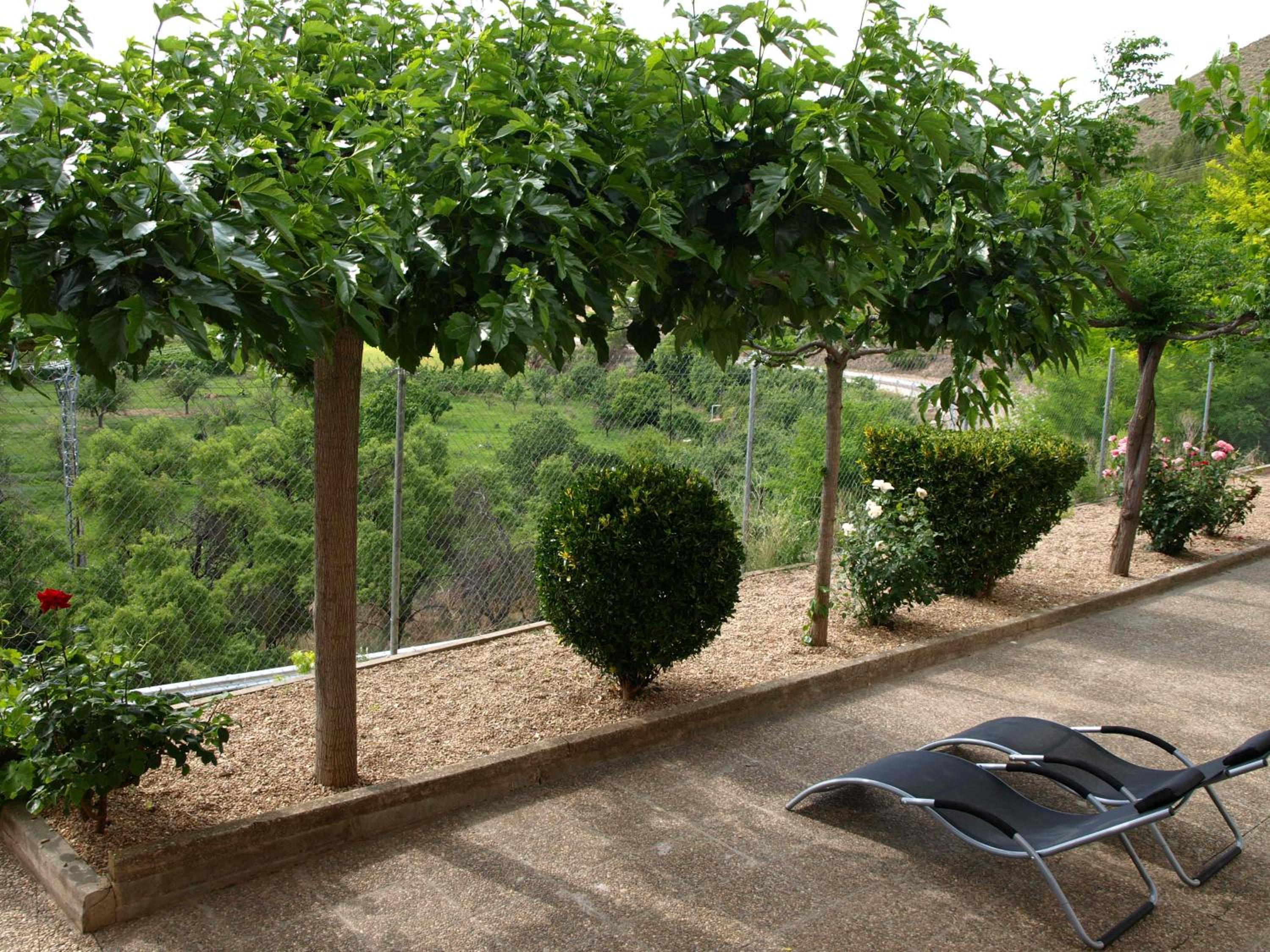 Two-Bedroom House (2-6 Adults) - Photo 93
