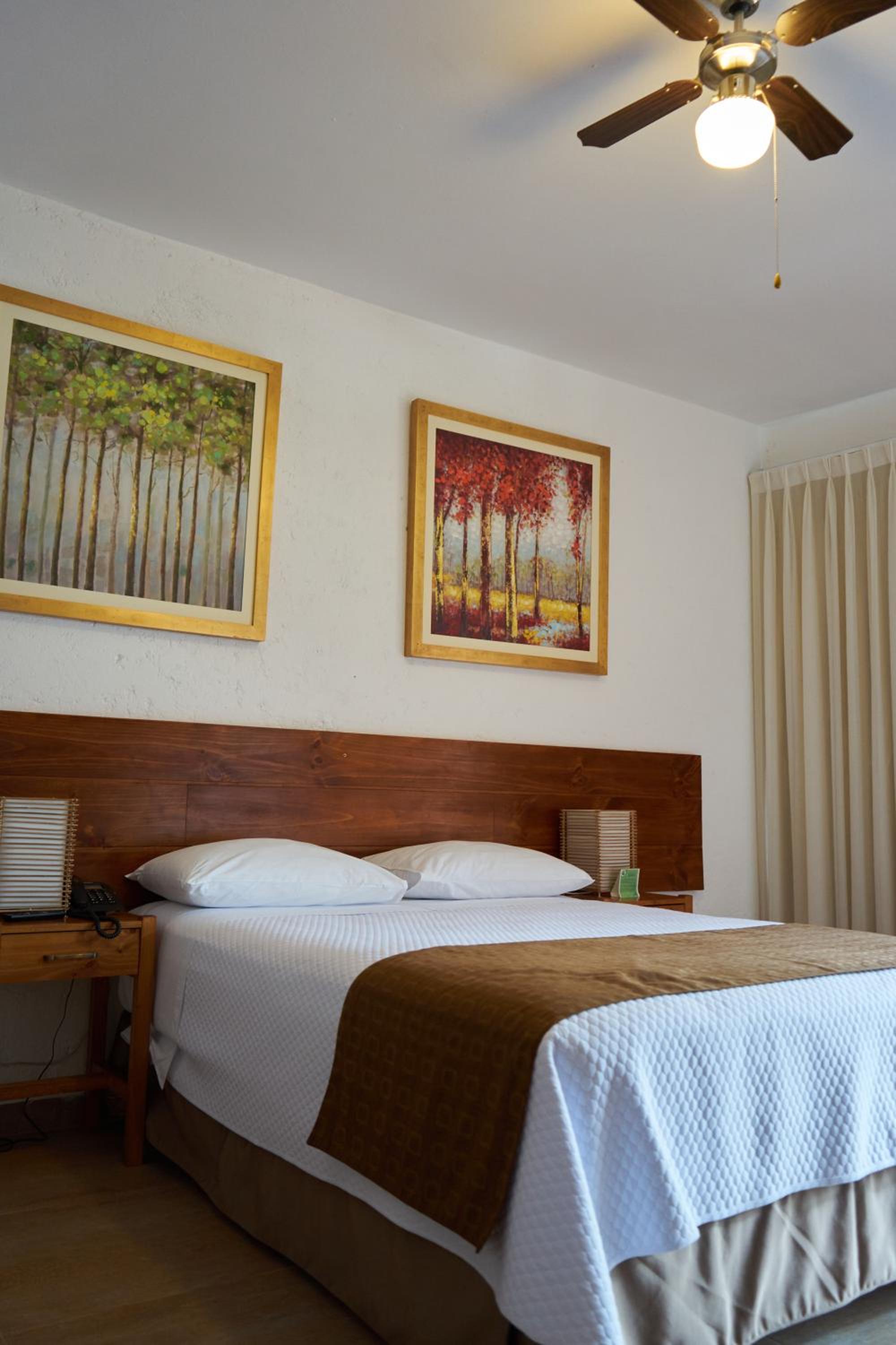 Queen Room with Garden View photo 2