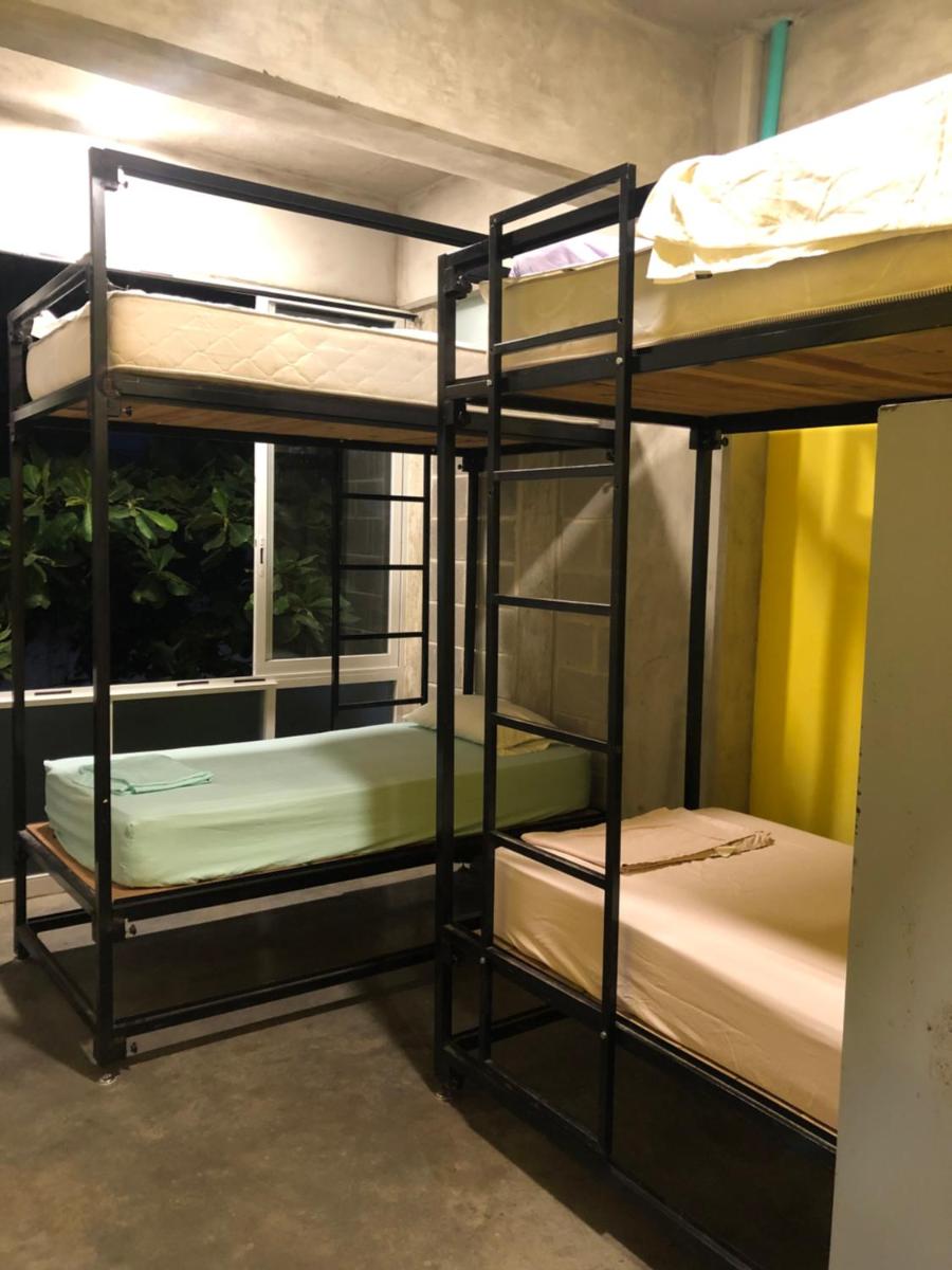 Bed in 4-Bed Mixed Dormitory Room photo 1