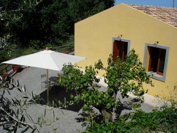 One-Bedroom Apartment with Garden View - Separate Building  photo 3
