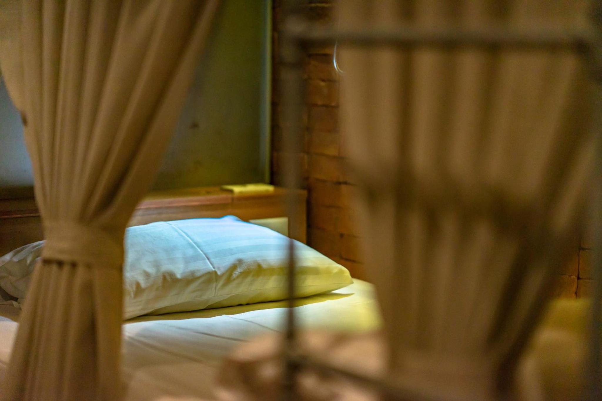 Bunk Bed in Mixed Dormitory Room photo 2