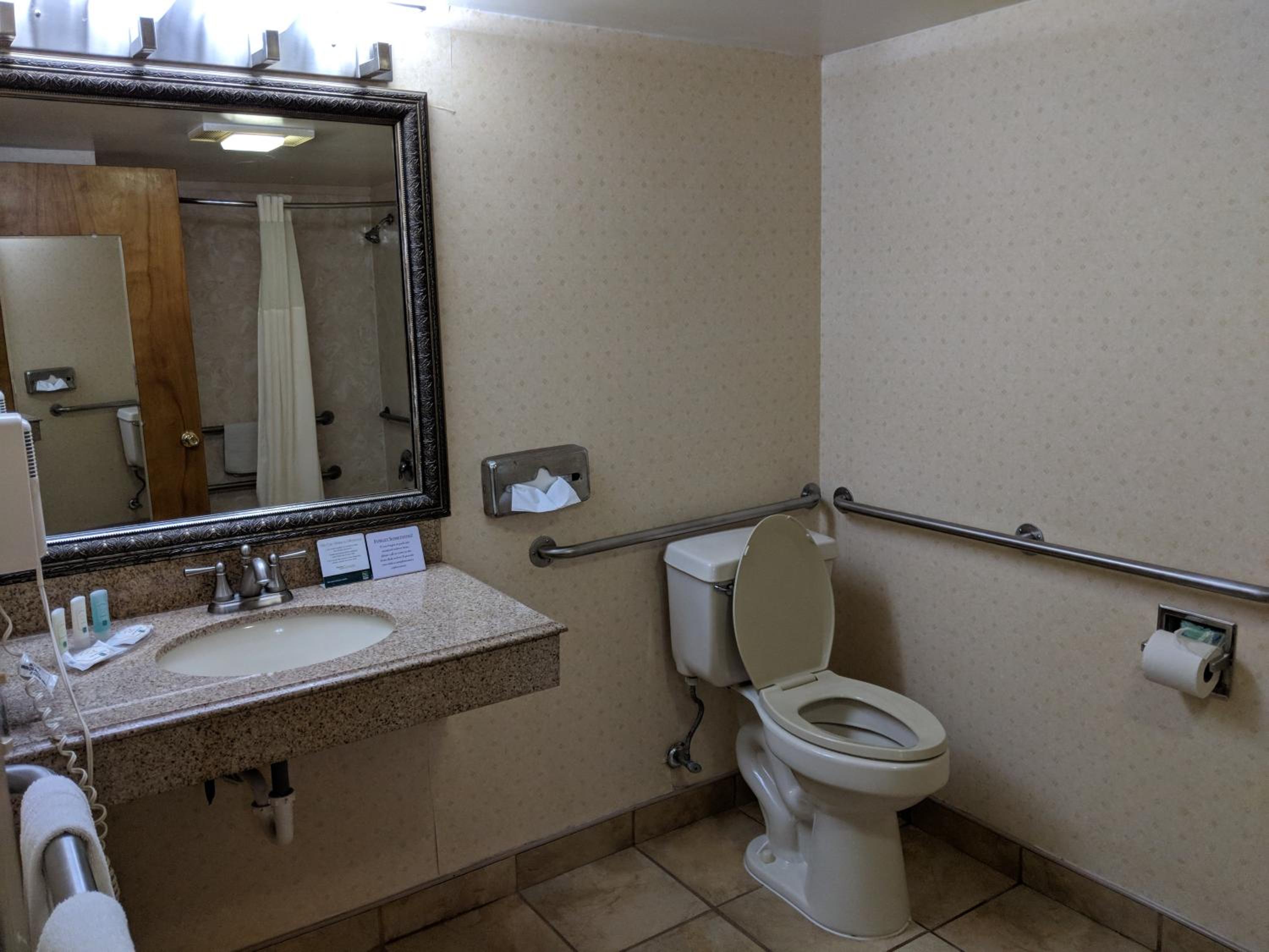 King Room - Mobility Accessible/Non-Smoking - Photo 3