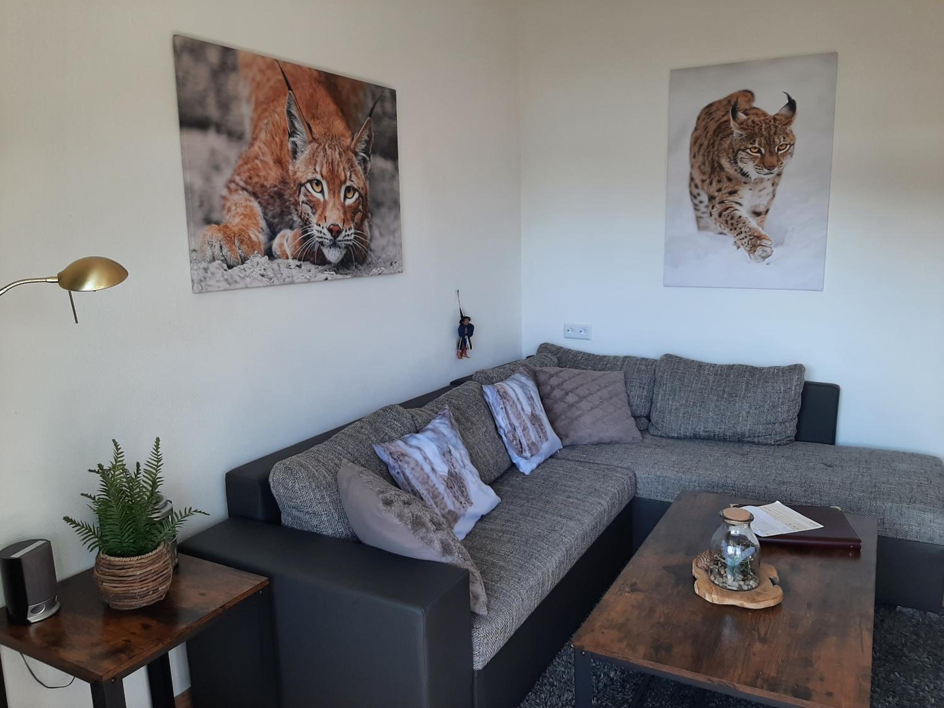 Apartment with Mountain View photo 3