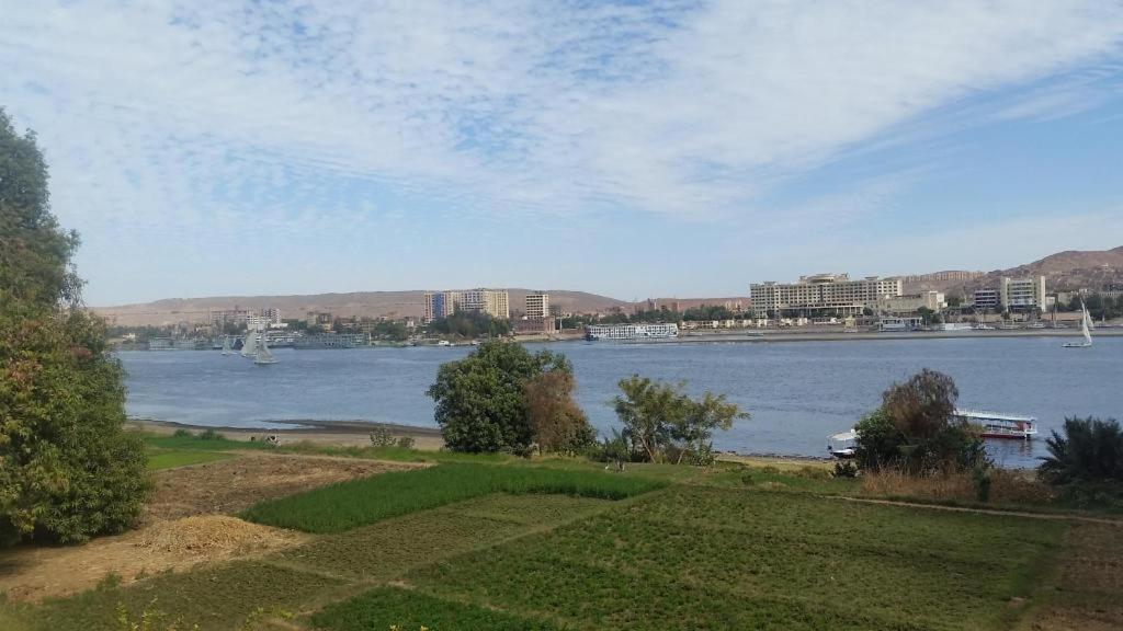 Double Room with Private Bathroom With Nile View - Photo 41