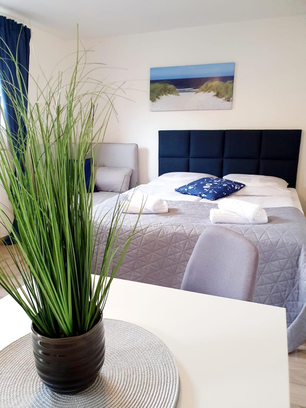 Studio with Sofa Bed photo 1