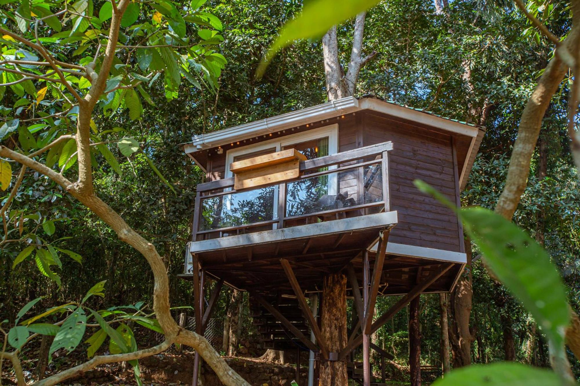 Lake View Tree House photo 2