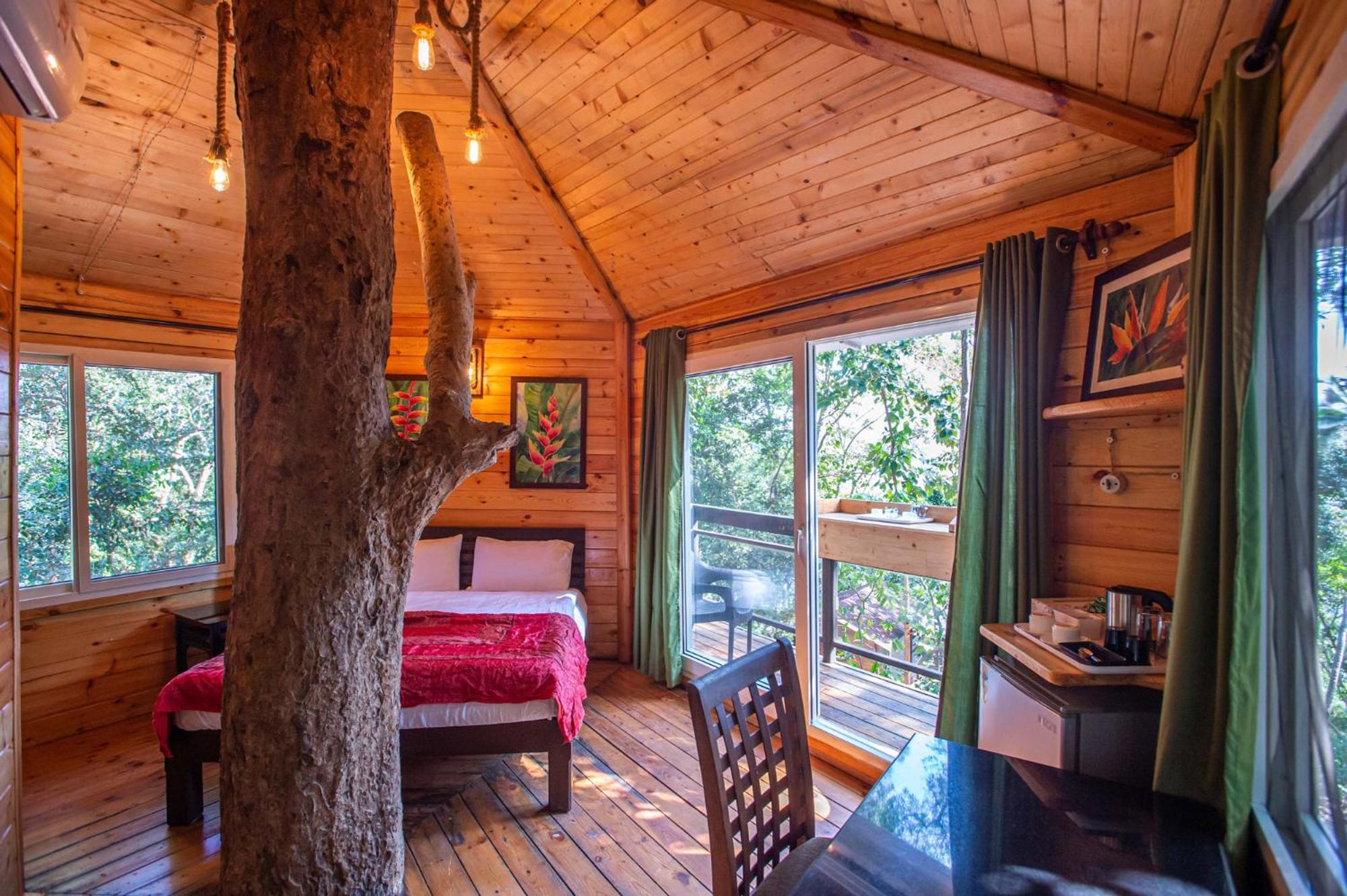 Lake View Tree House photo 3