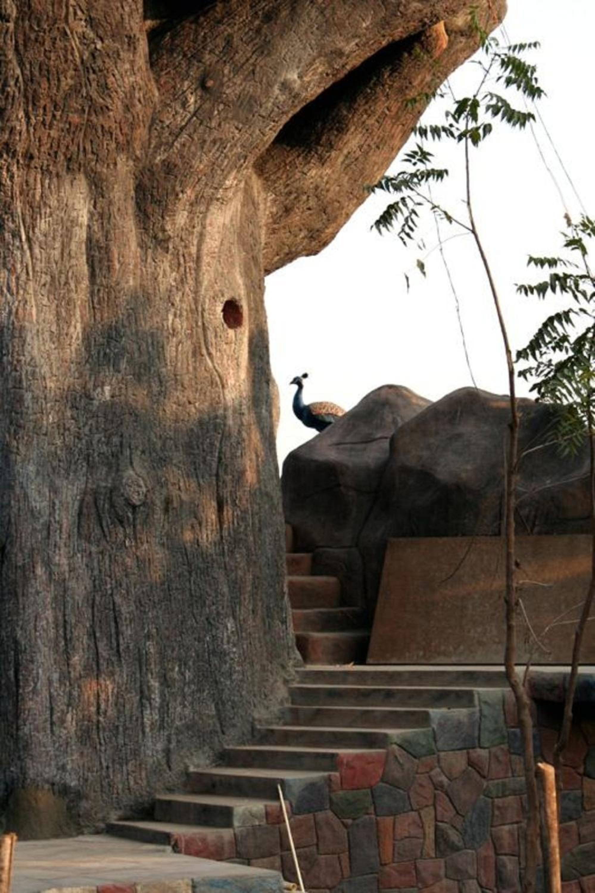 Tree House - Photo 8