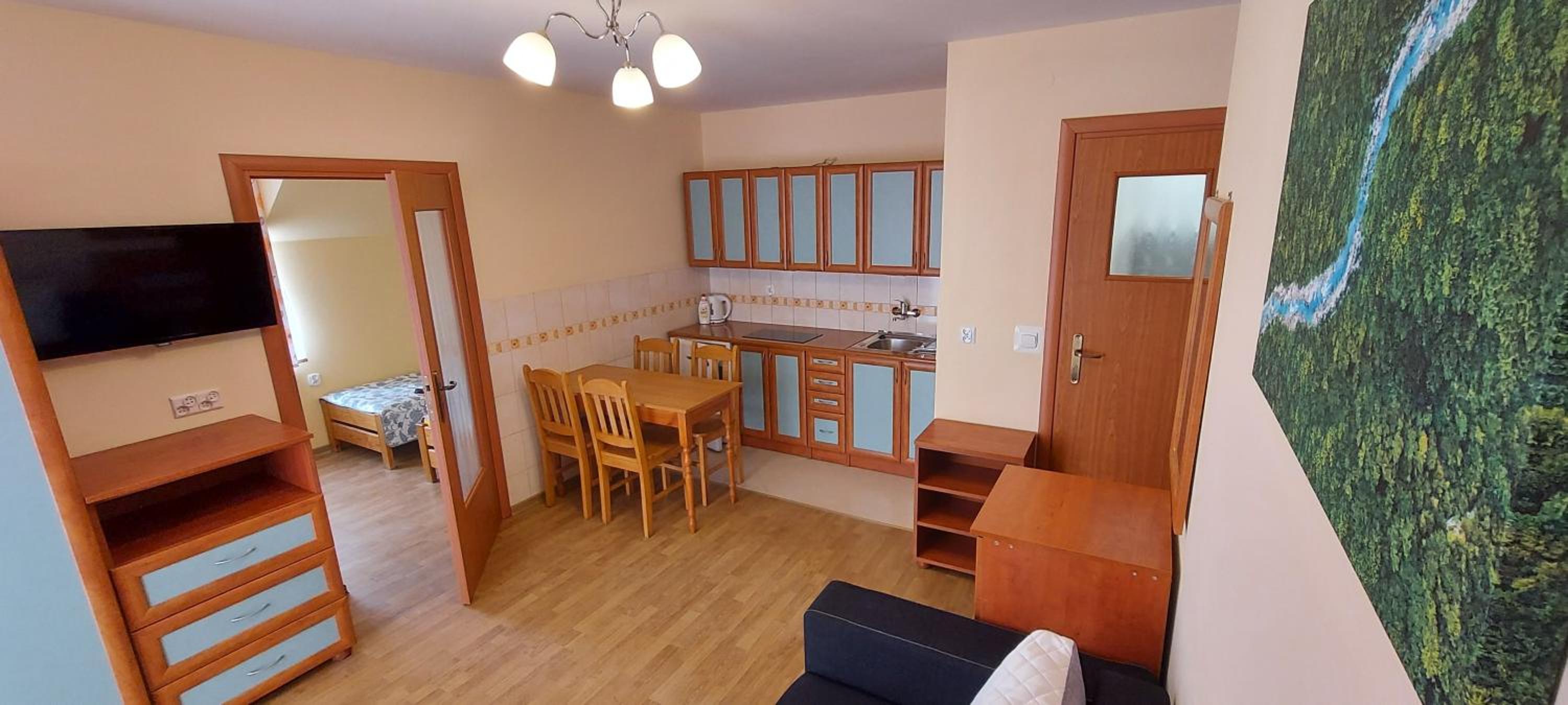 Studio Apartment photo 1
